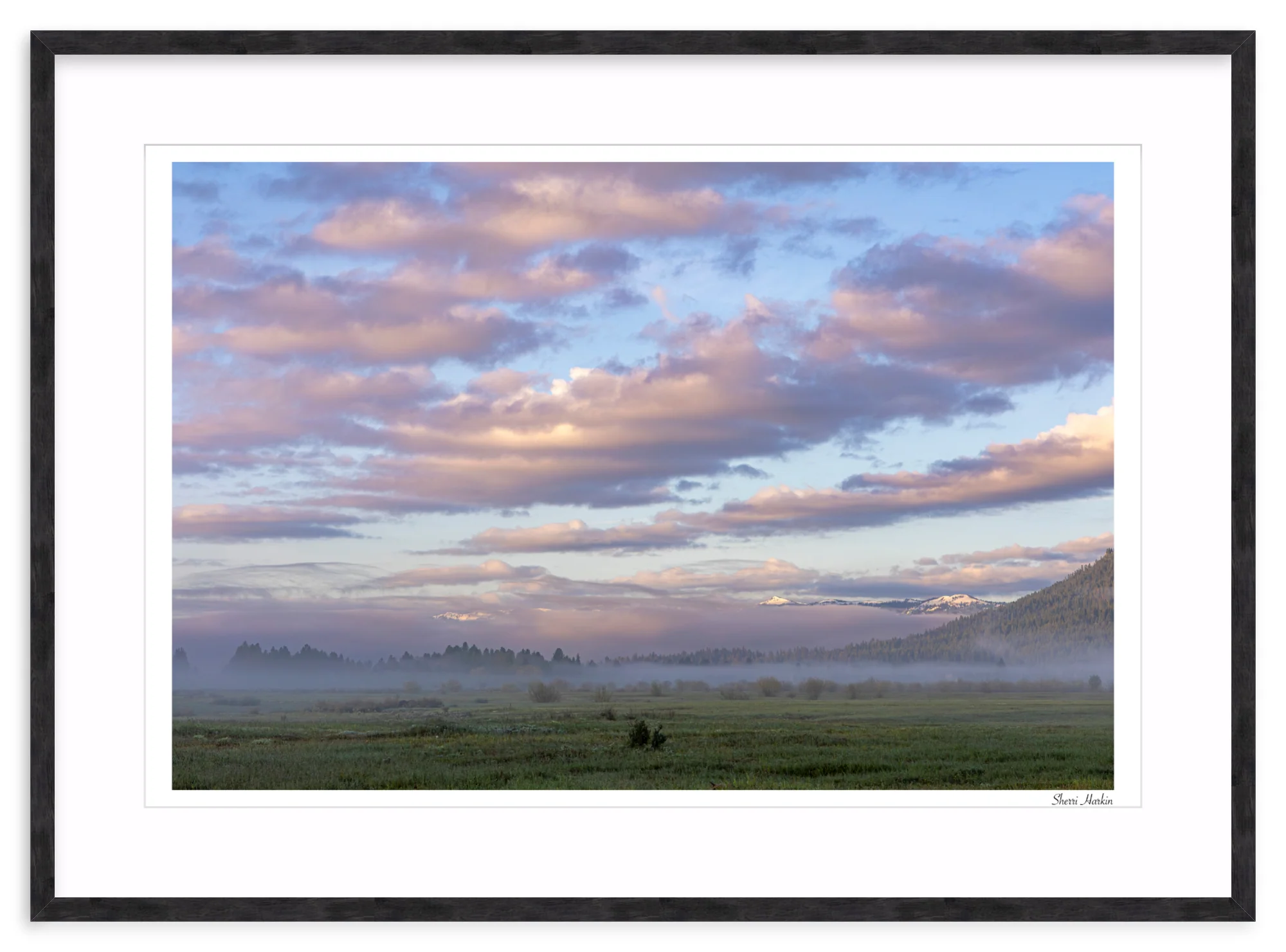 Pink Clouds Over Meadow - Image 12