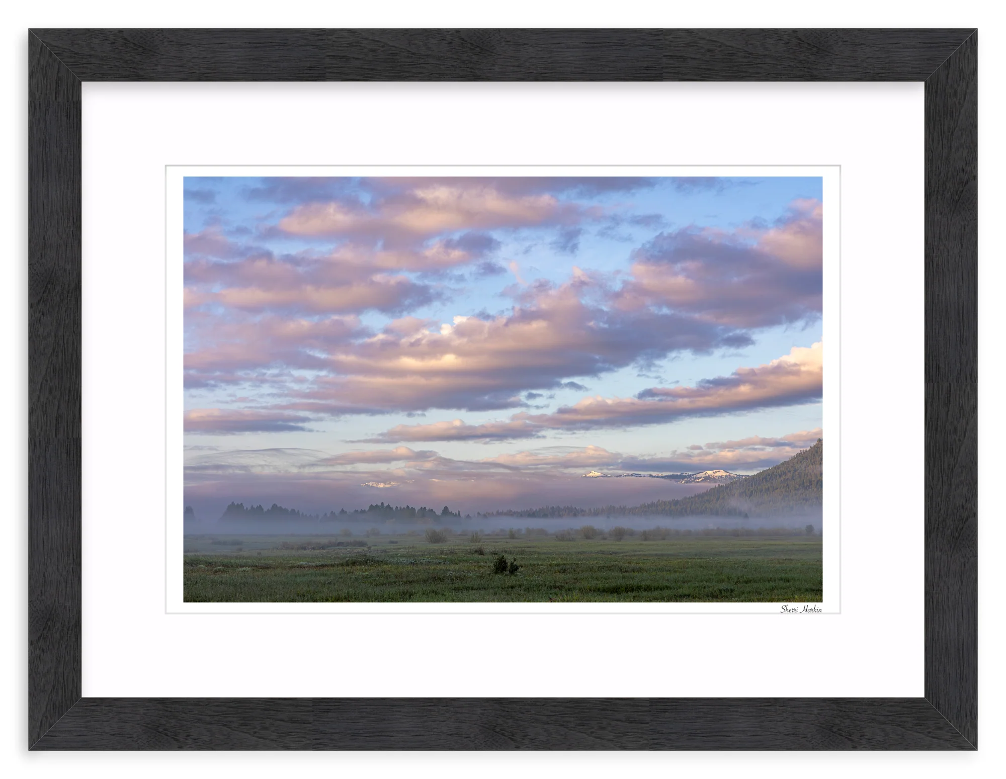 Pink Clouds Over Meadow - Image 14