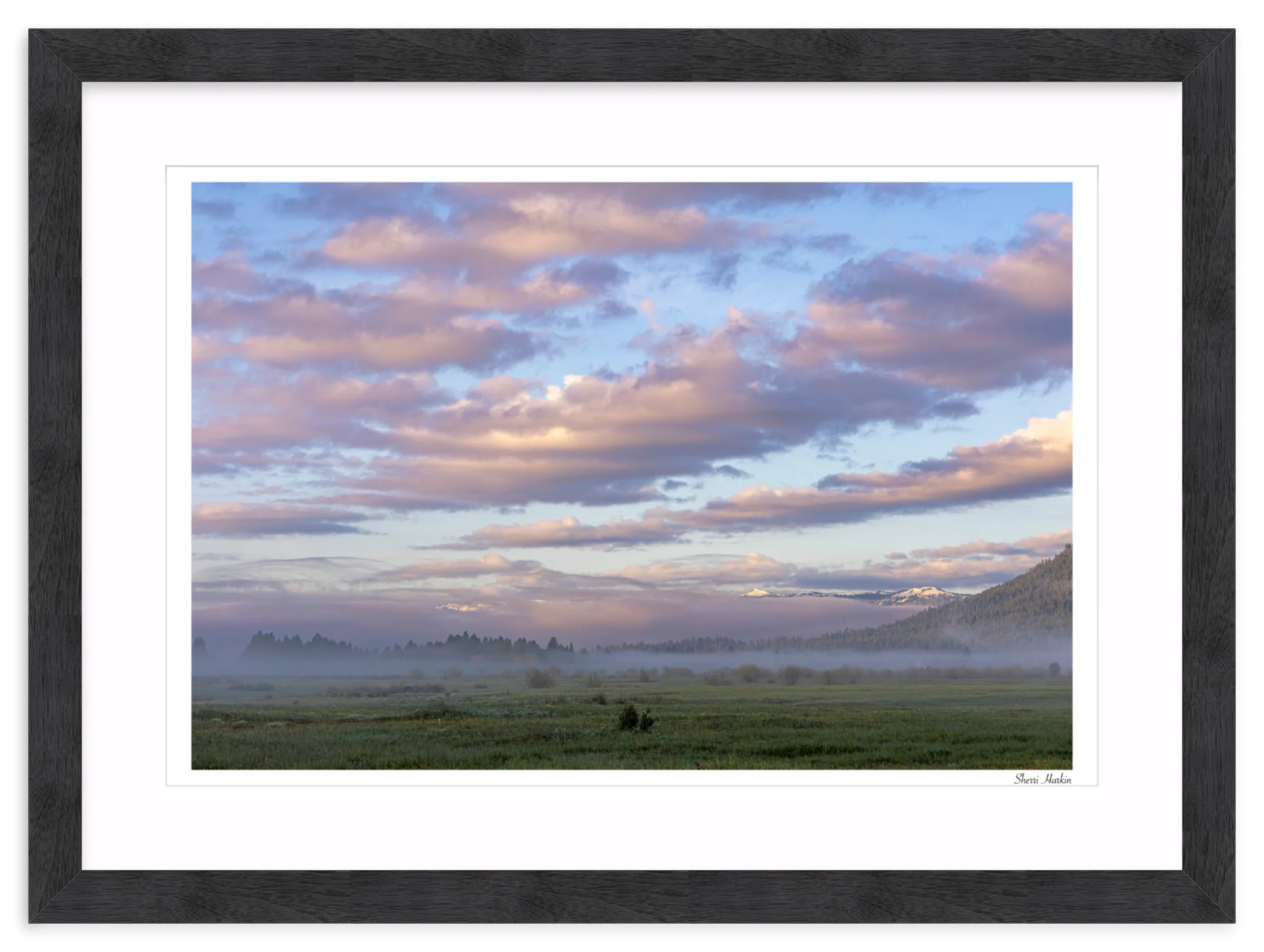 Pink Clouds Over Meadow - Image 15