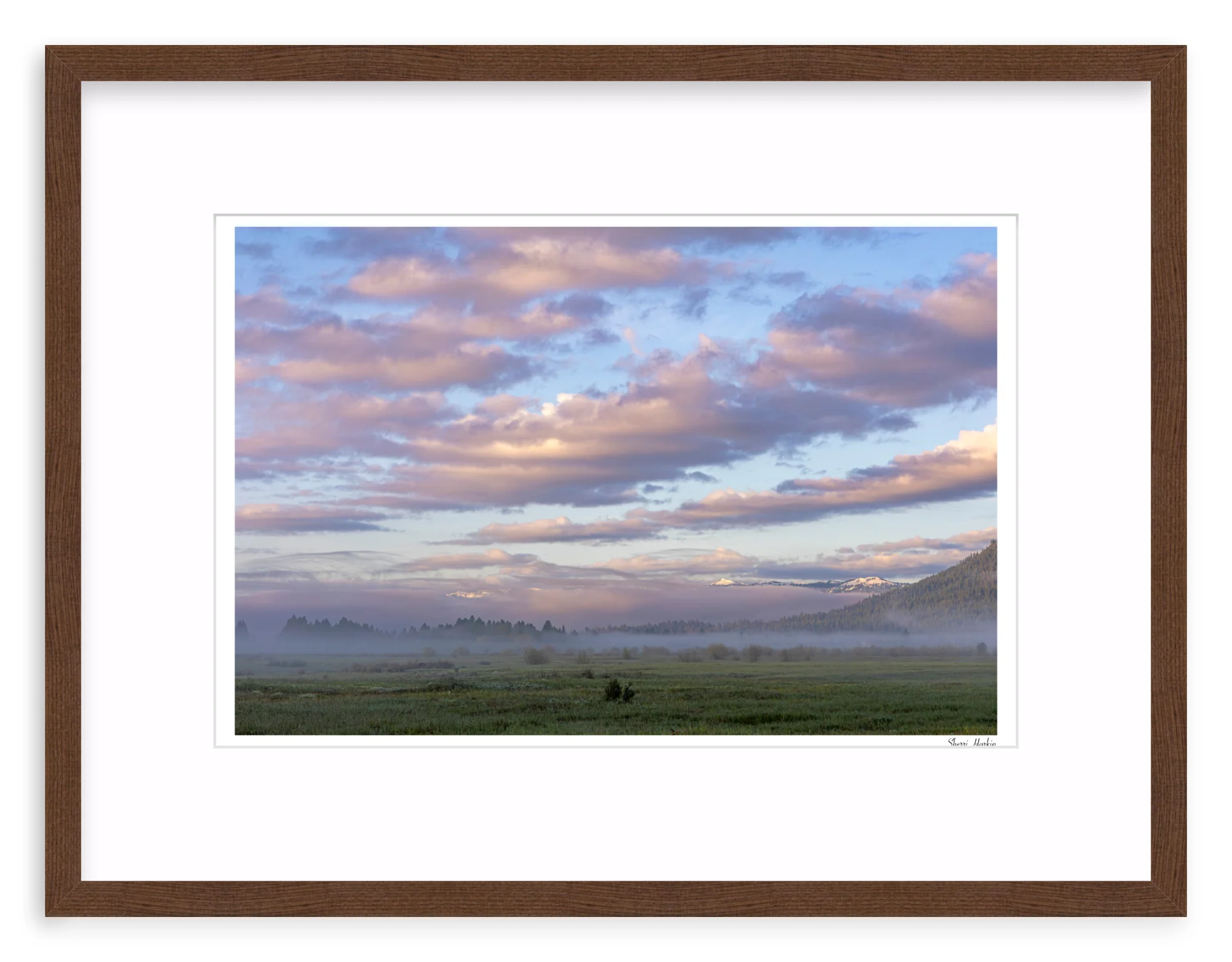 Pink Clouds Over Meadow - Image 4