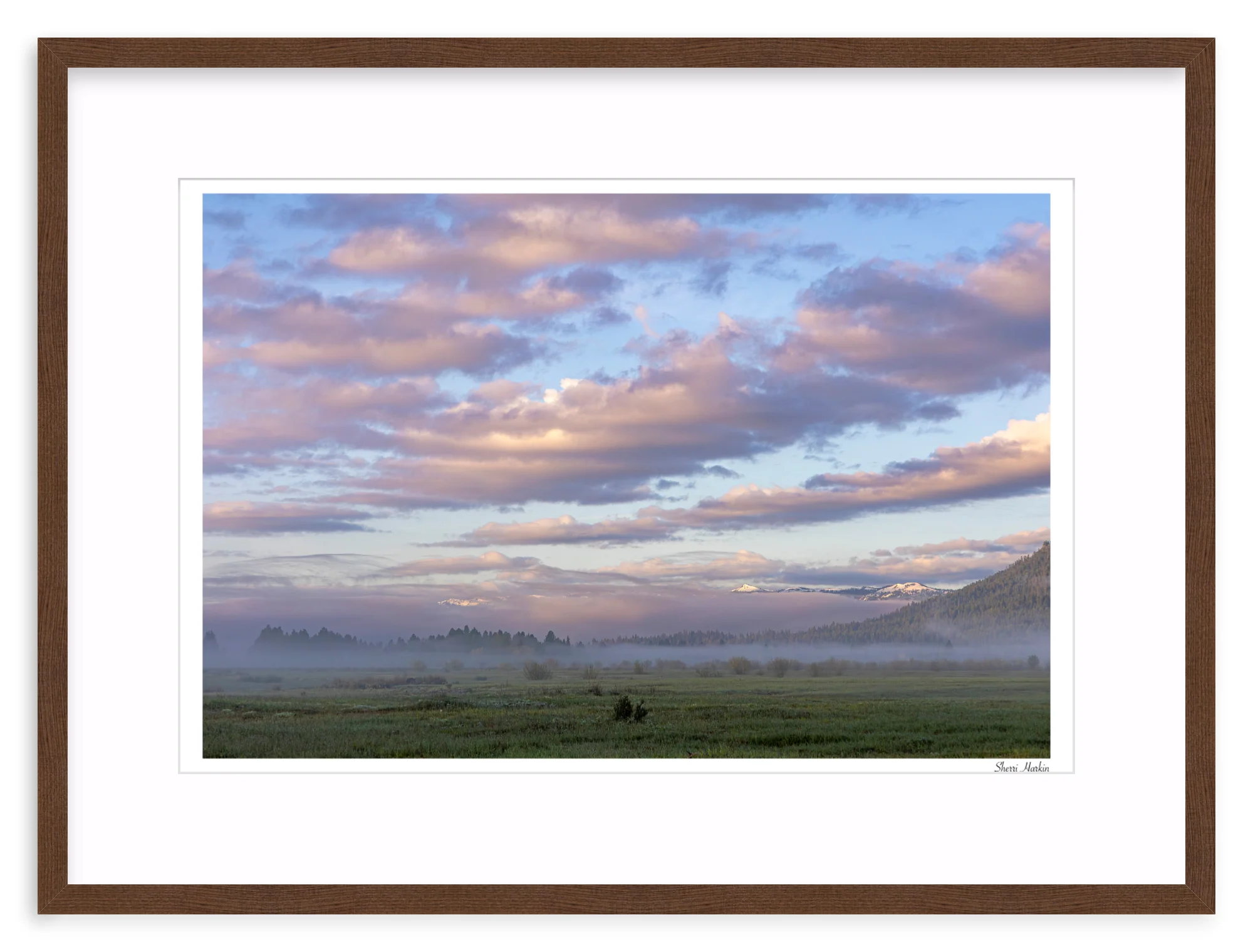 Pink Clouds Over Meadow - Image 5