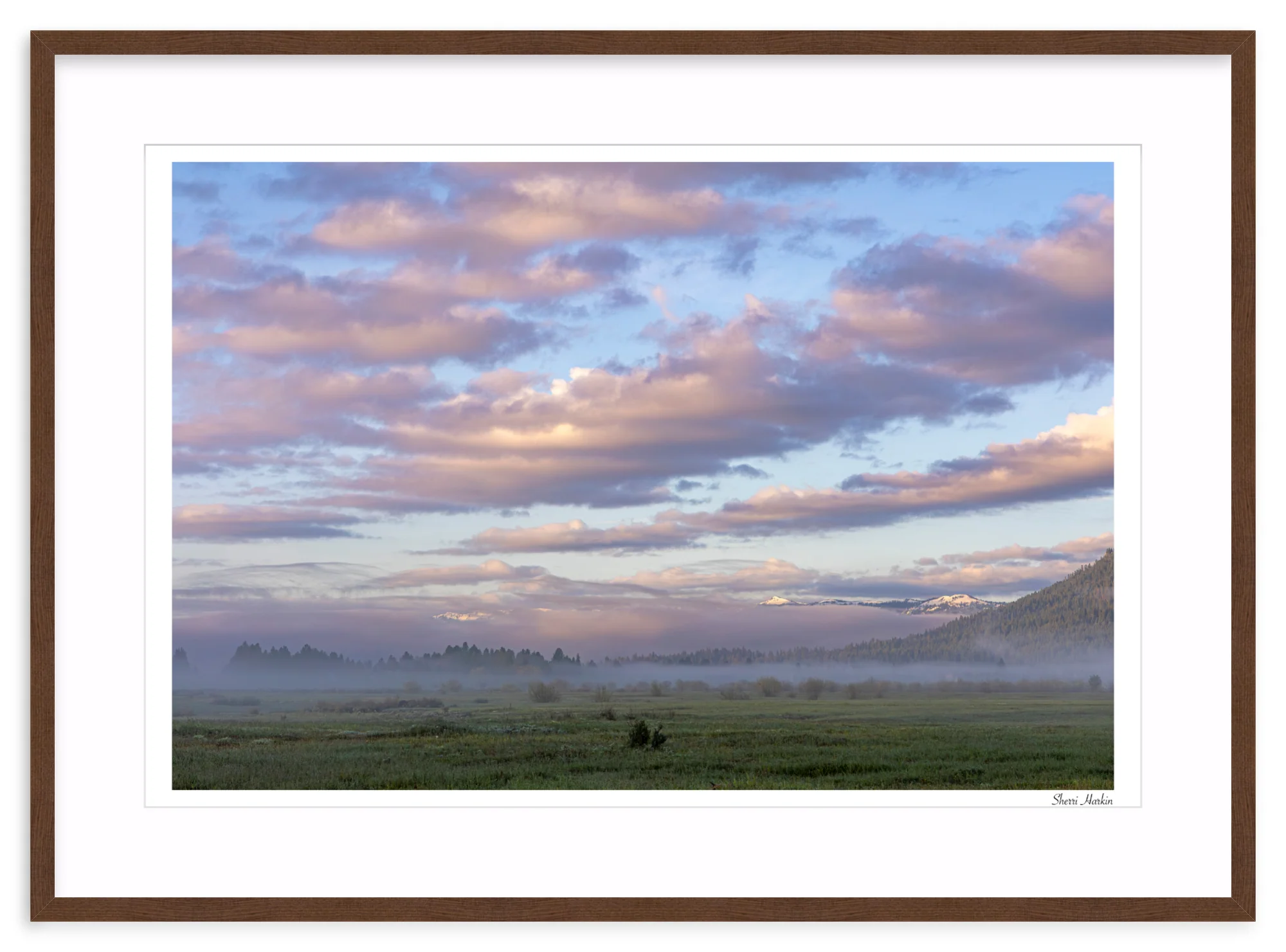 Pink Clouds Over Meadow - Image 6