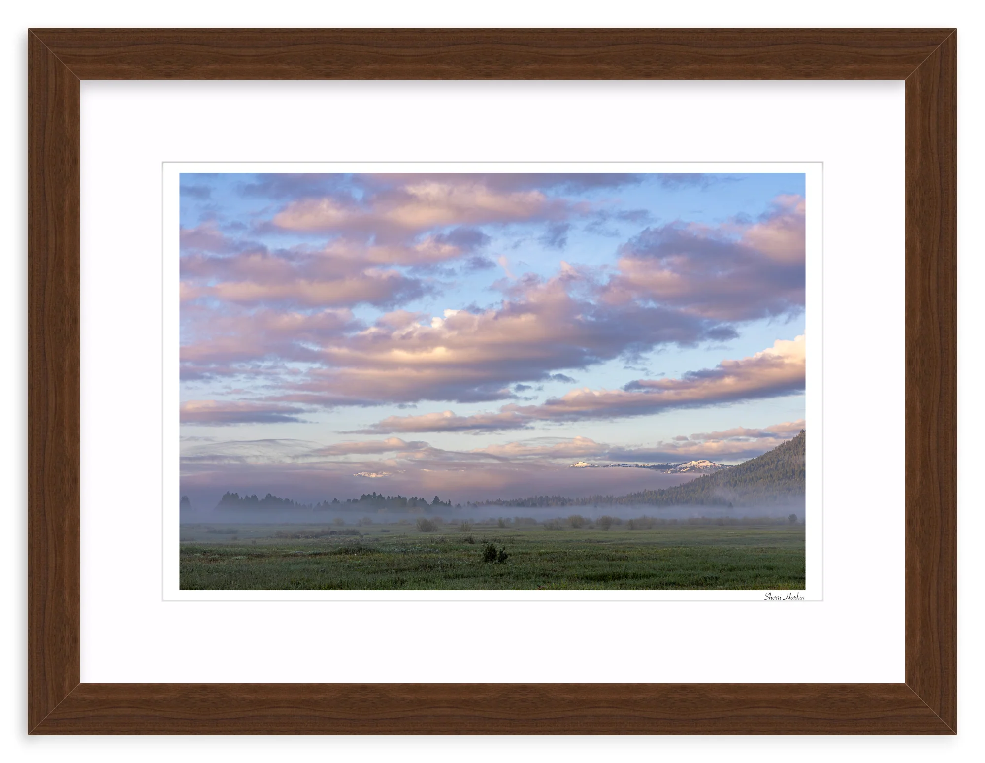 Pink Clouds Over Meadow - Image 8