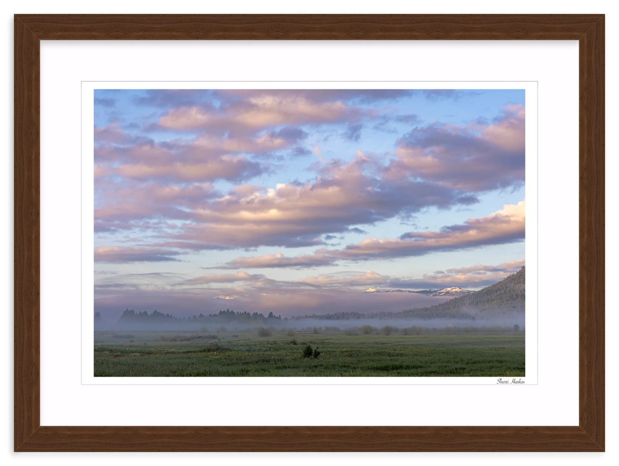 Pink Clouds Over Meadow - Image 9