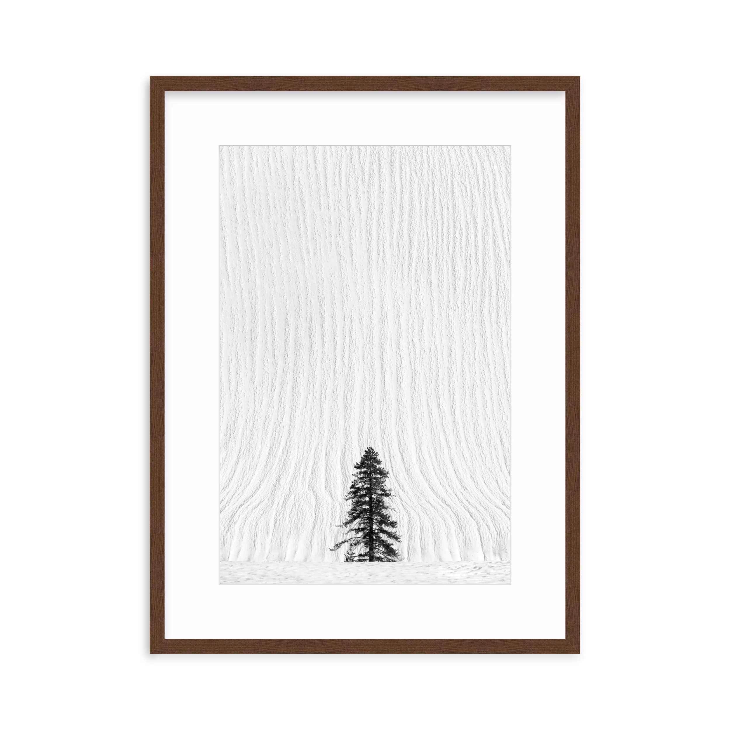 Snow Falls - Image 6