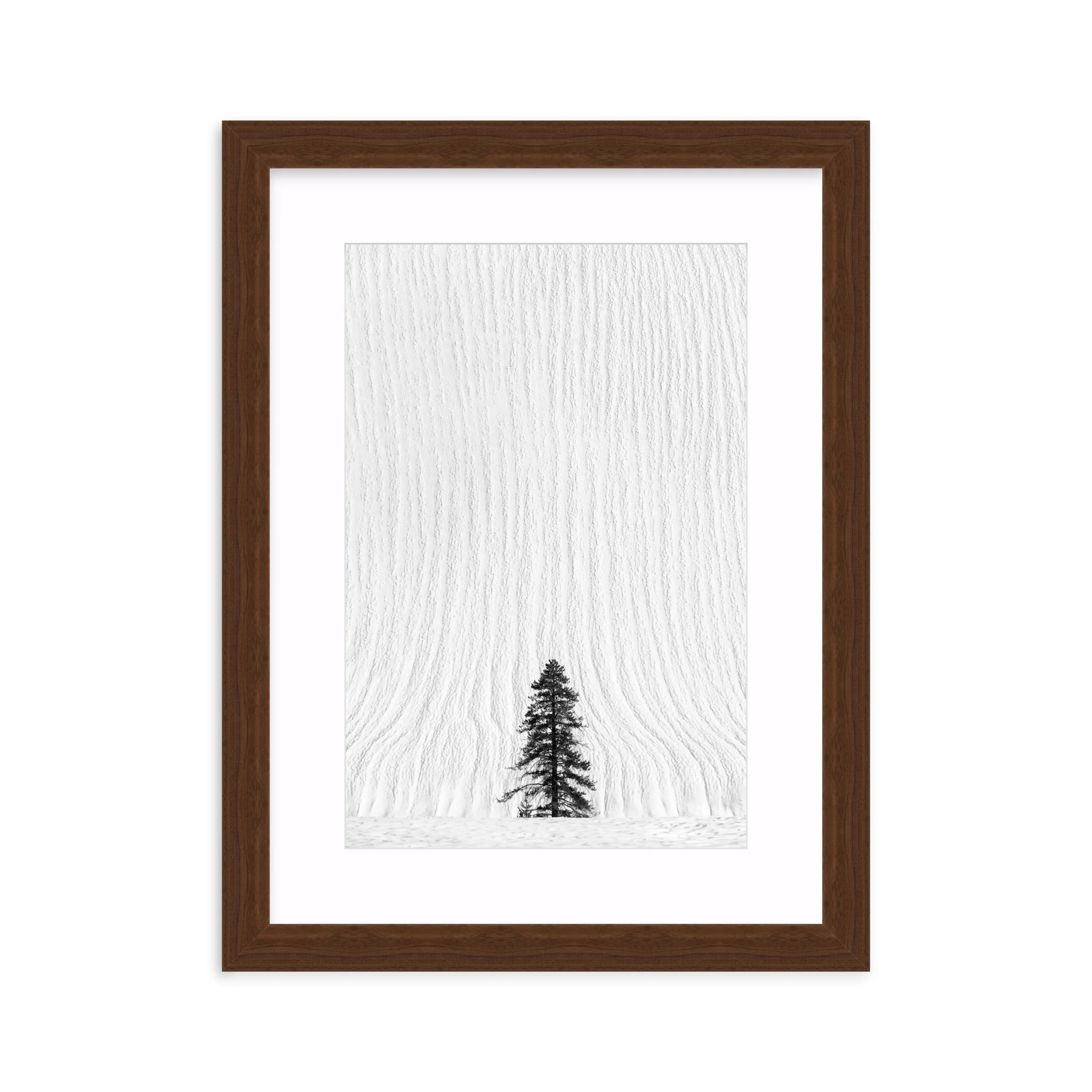 Snow Falls - Image 8