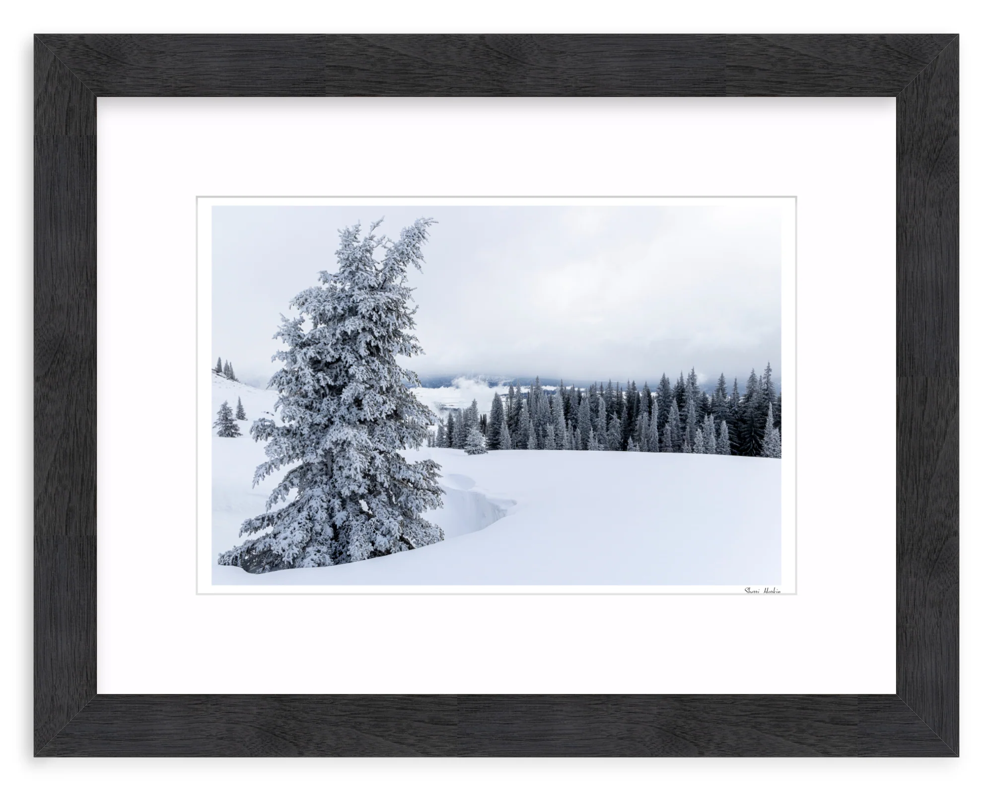 Snowy Pine Tree - Image 13