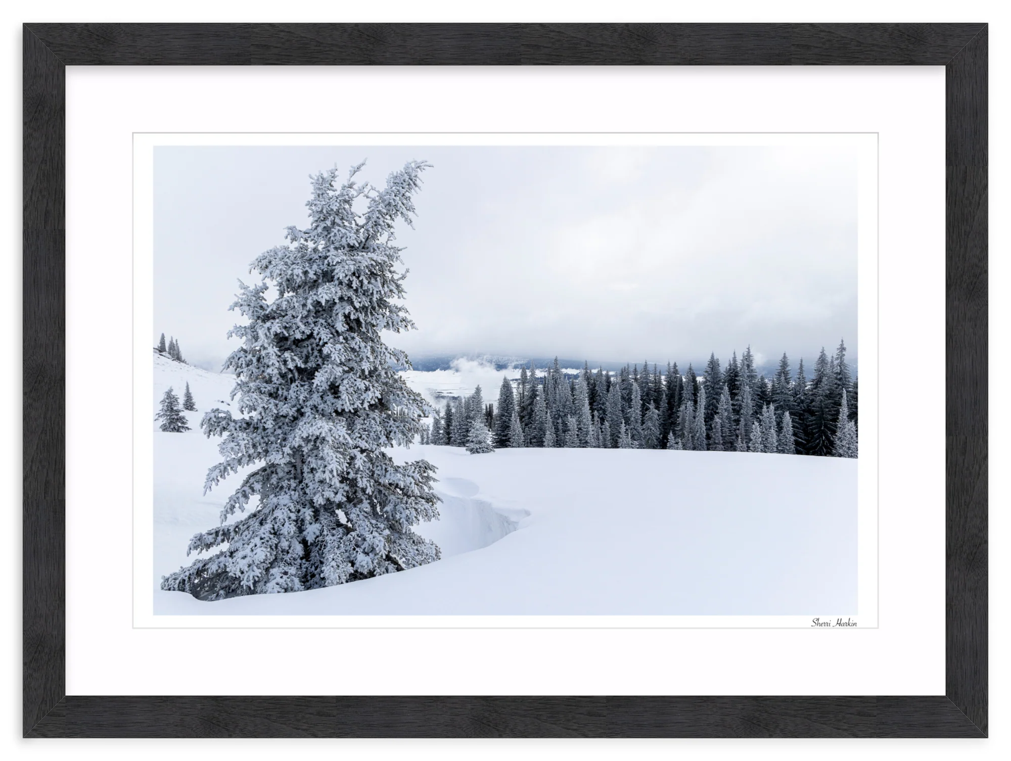 Snowy Pine Tree - Image 15