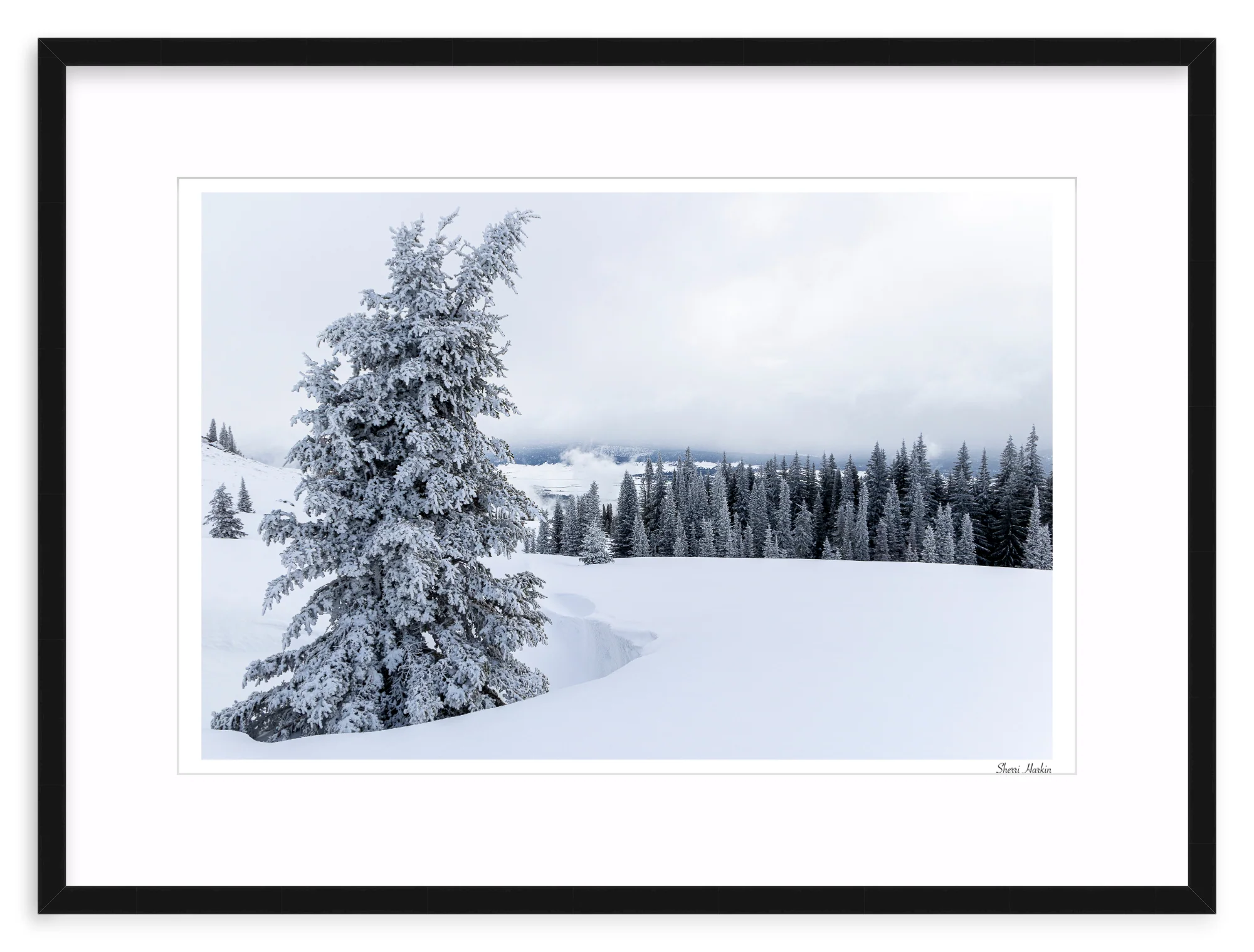 Snowy Pine Tree - Image 2