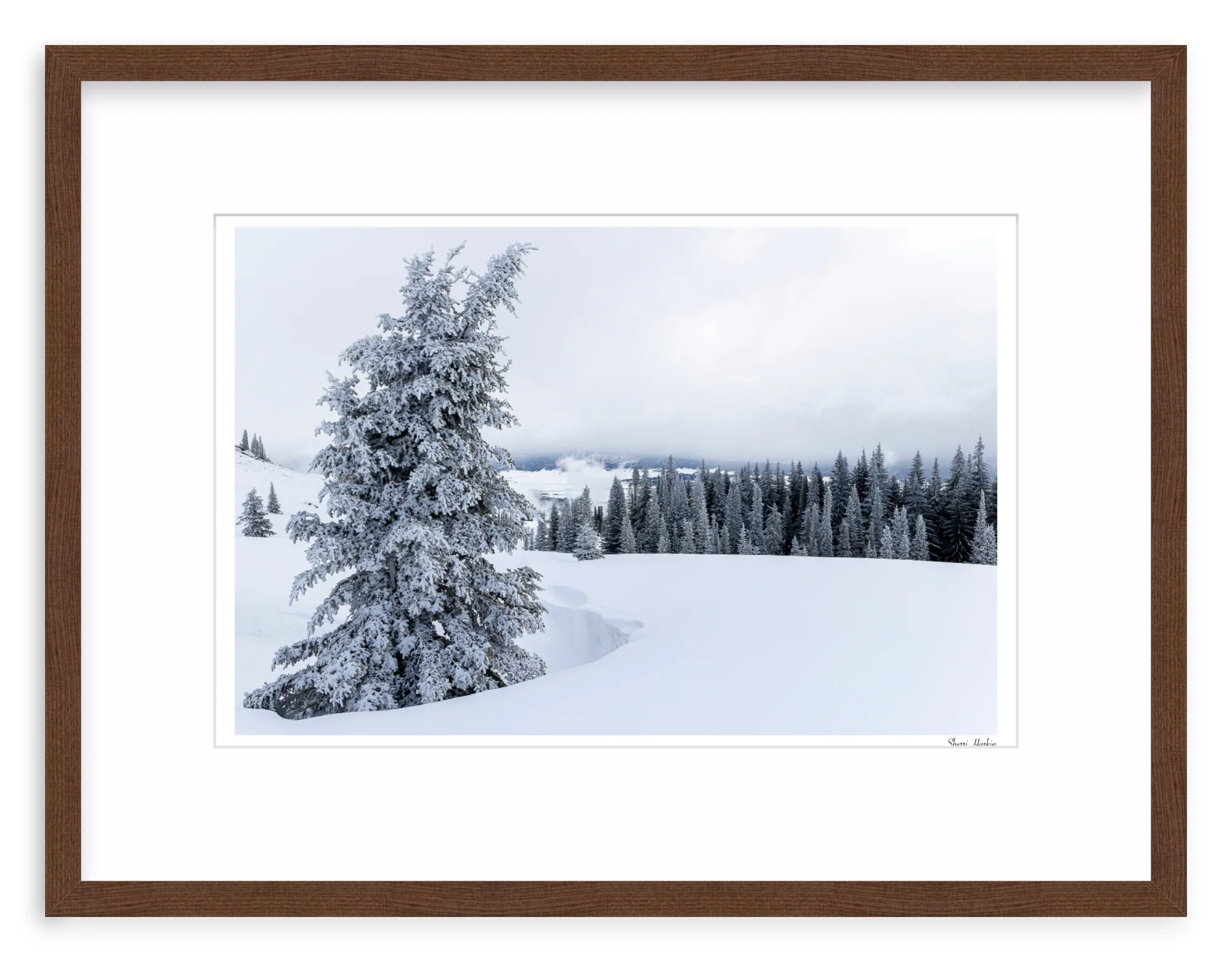 Snowy Pine Tree - Image 4