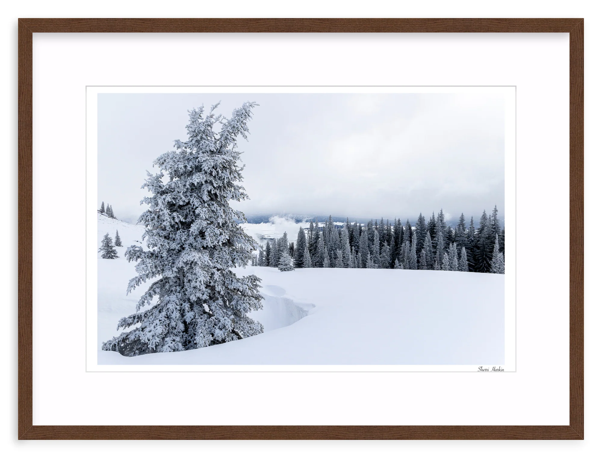 Snowy Pine Tree - Image 5