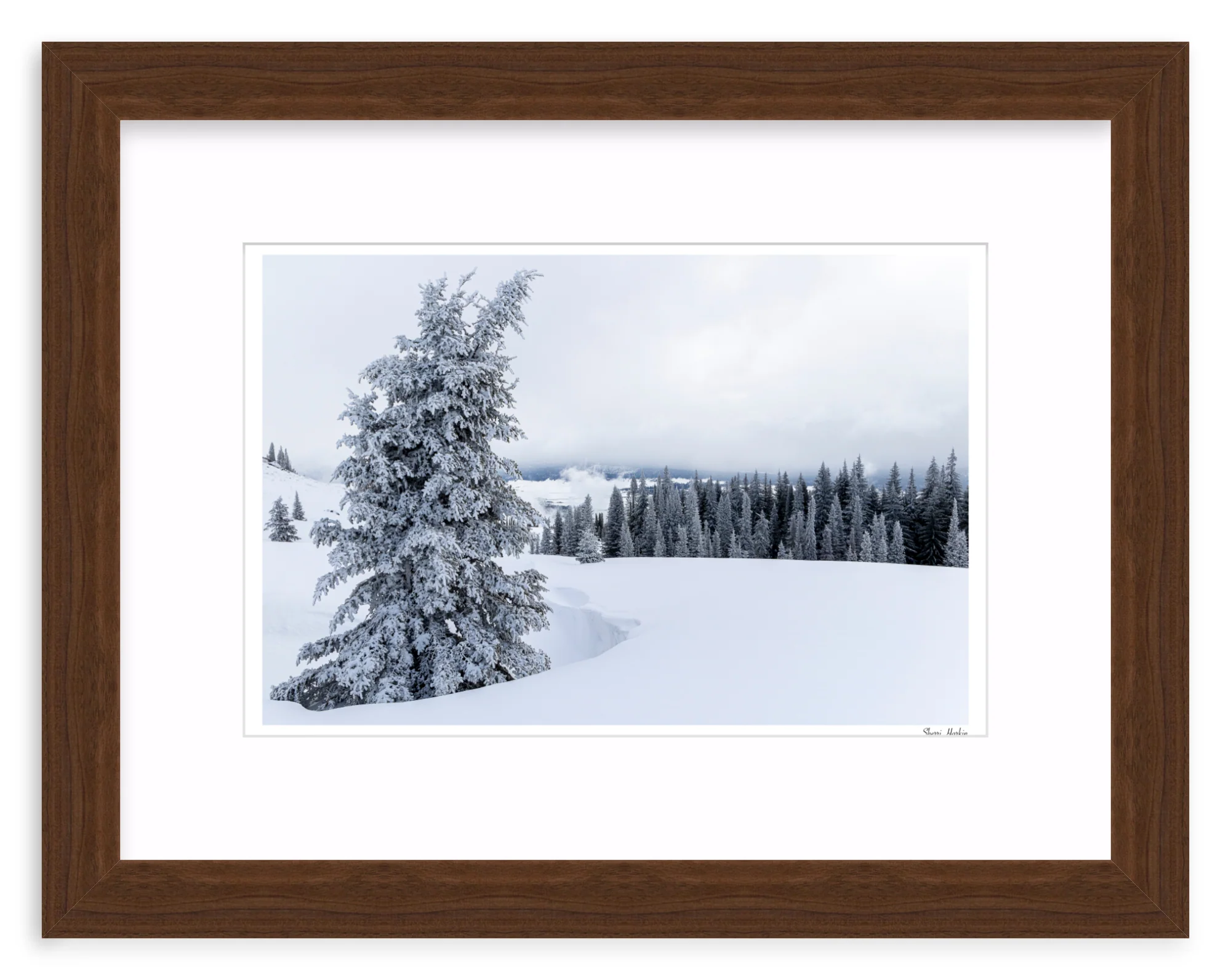 Snowy Pine Tree - Image 7