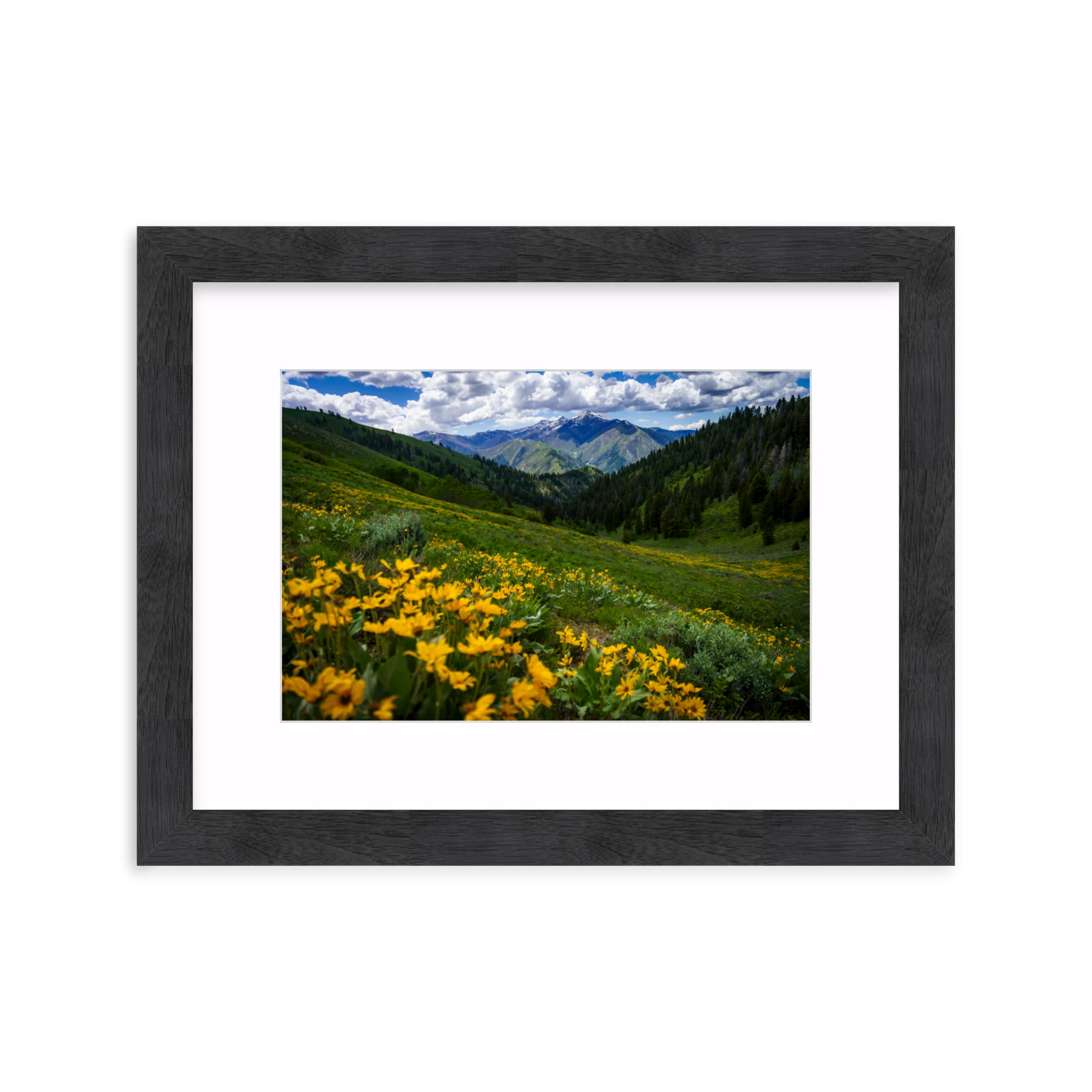 Soldier Mountains - Image 15