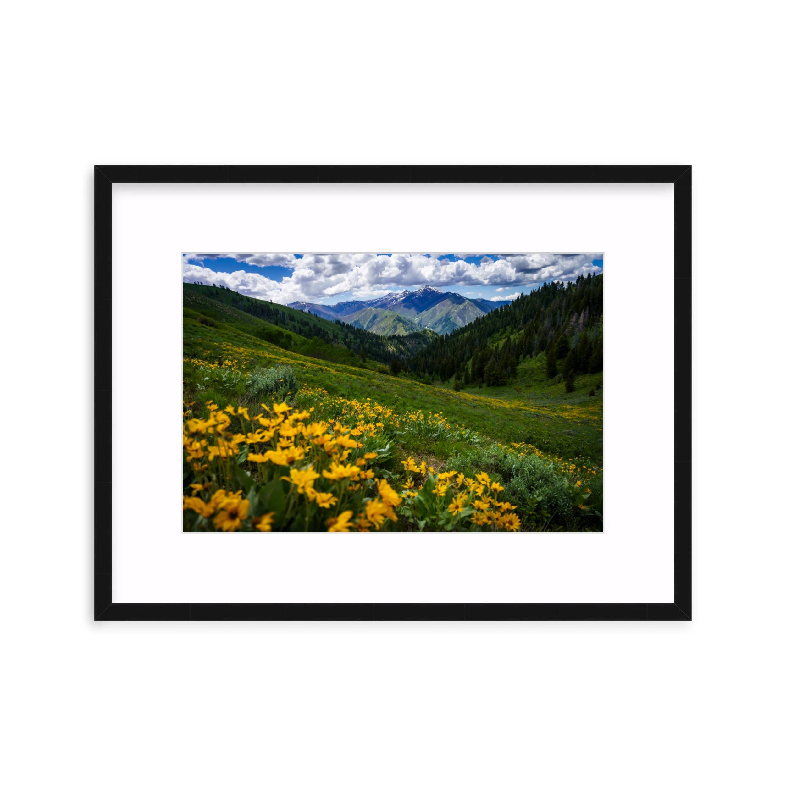 Soldier Mountains - Image 3