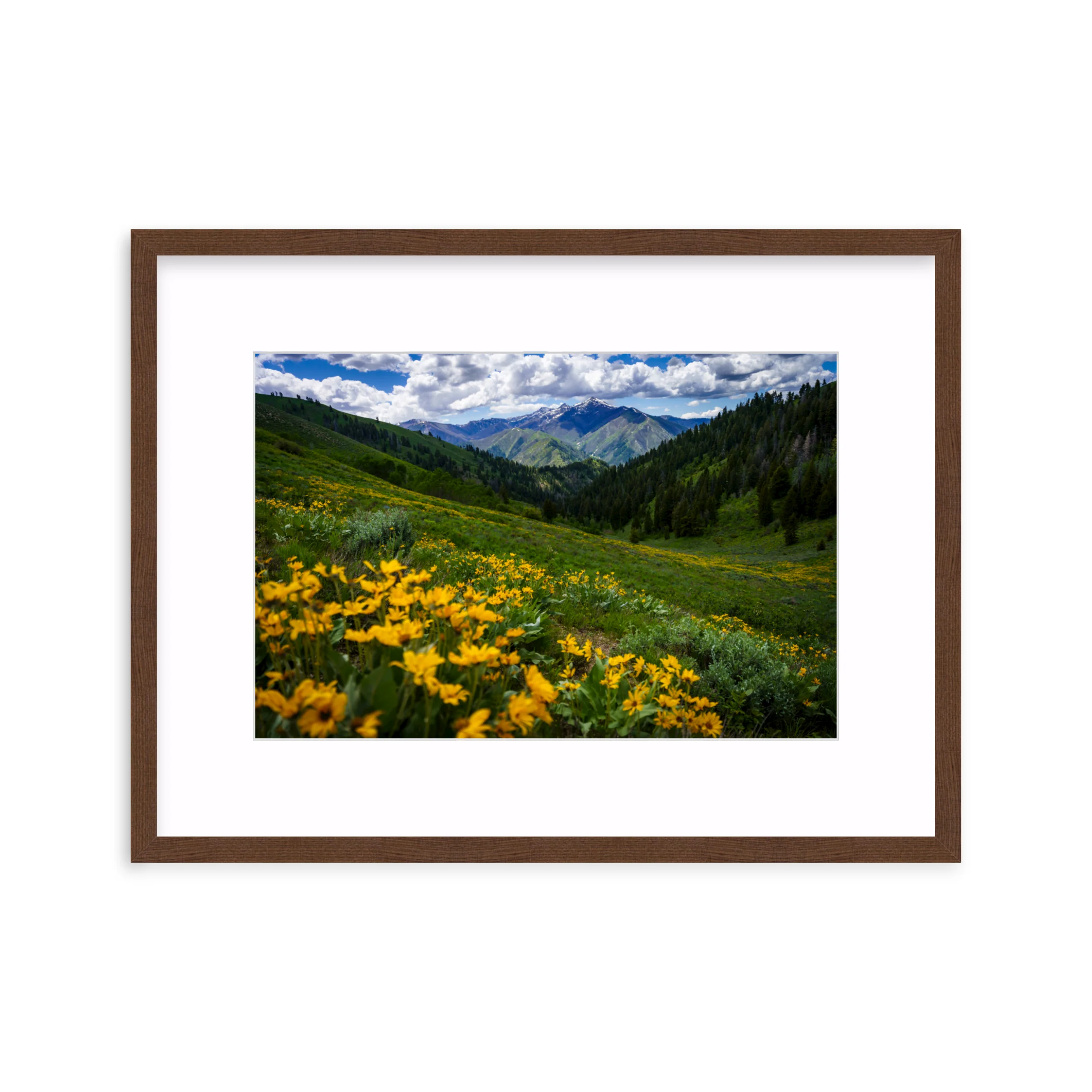 Soldier Mountains - Image 4