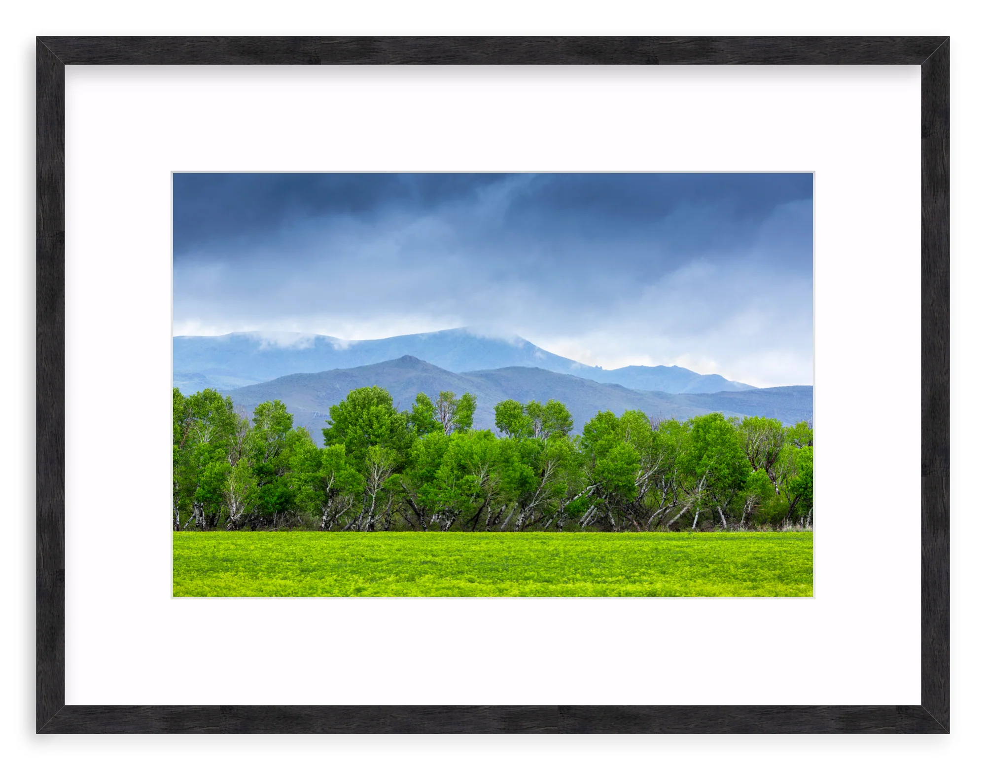 Spring At Silver Creek - Image 10