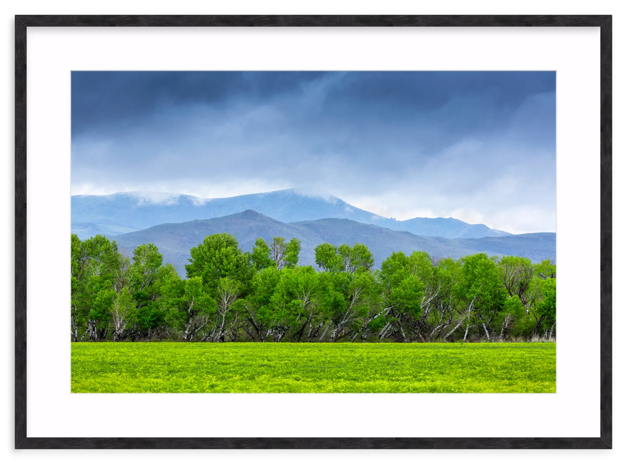 Spring At Silver Creek - Image 12