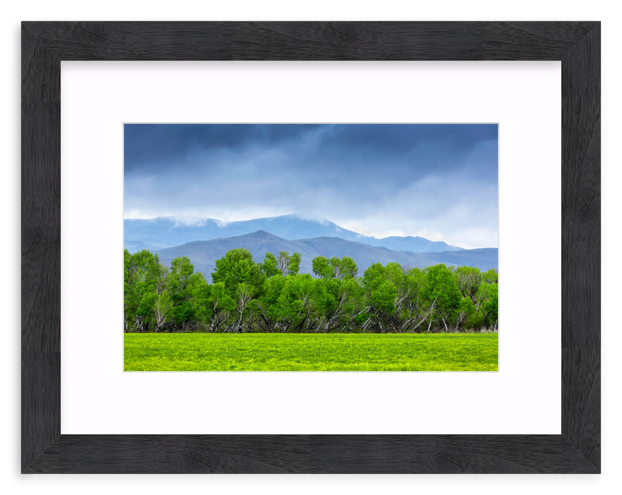 Spring At Silver Creek - Image 13