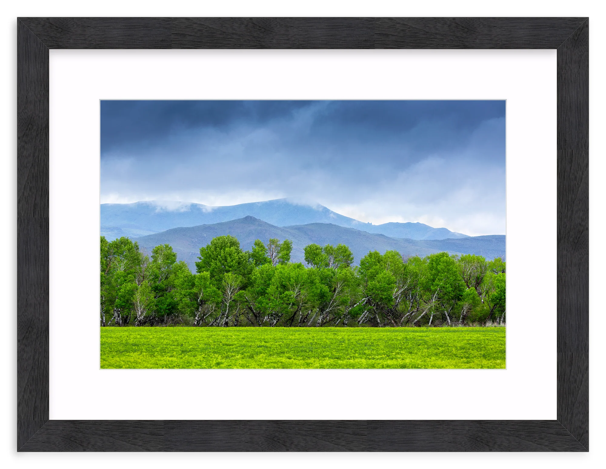 Spring At Silver Creek - Image 14