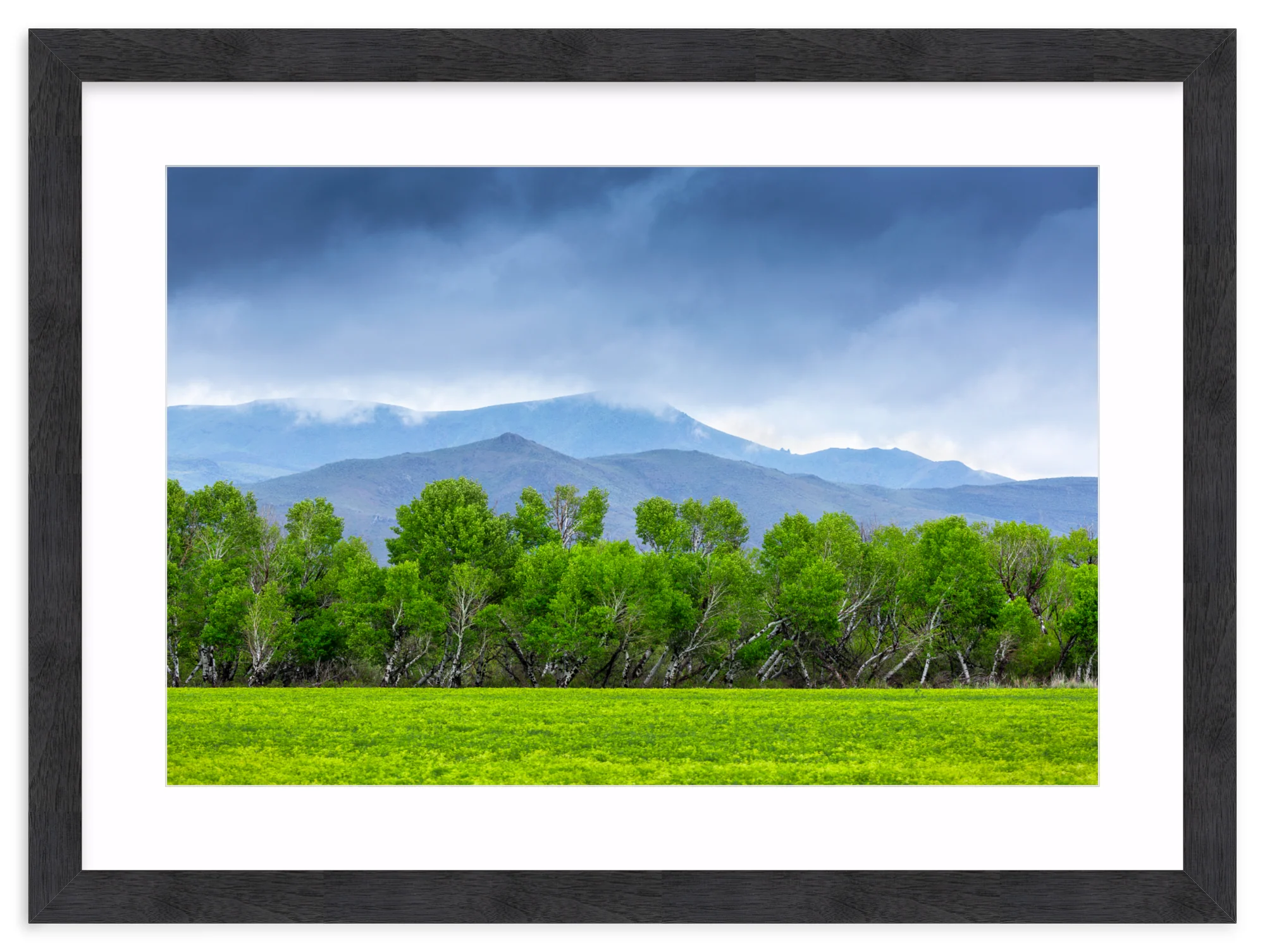 Spring At Silver Creek - Image 15