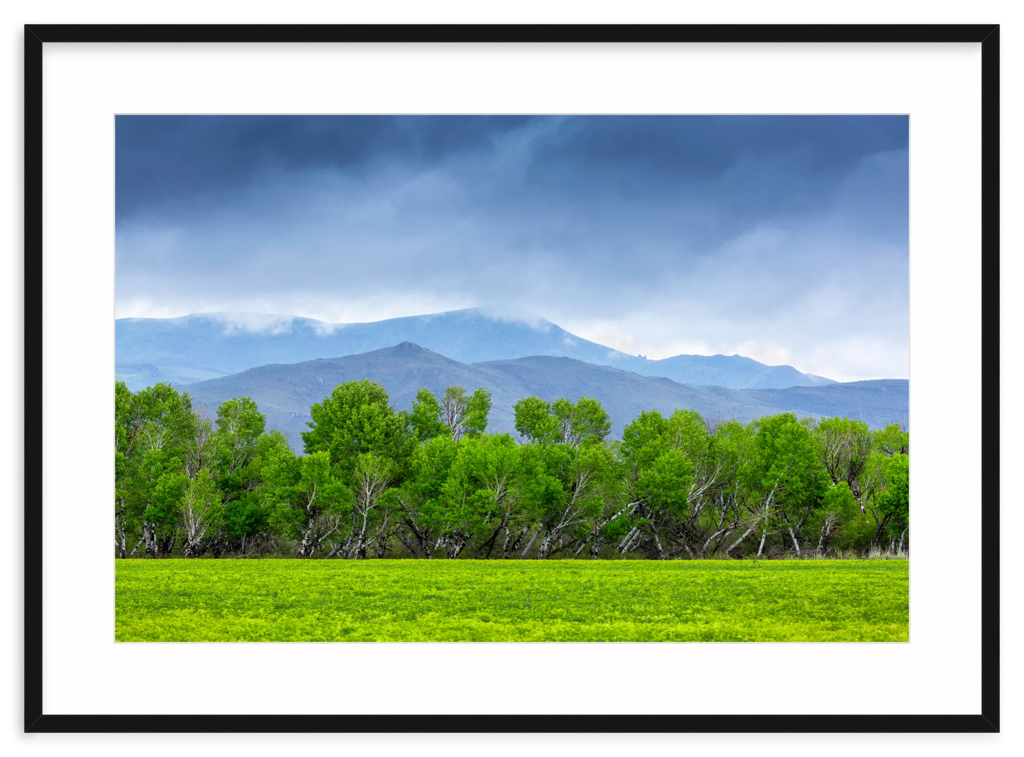 Spring At Silver Creek - Image 3