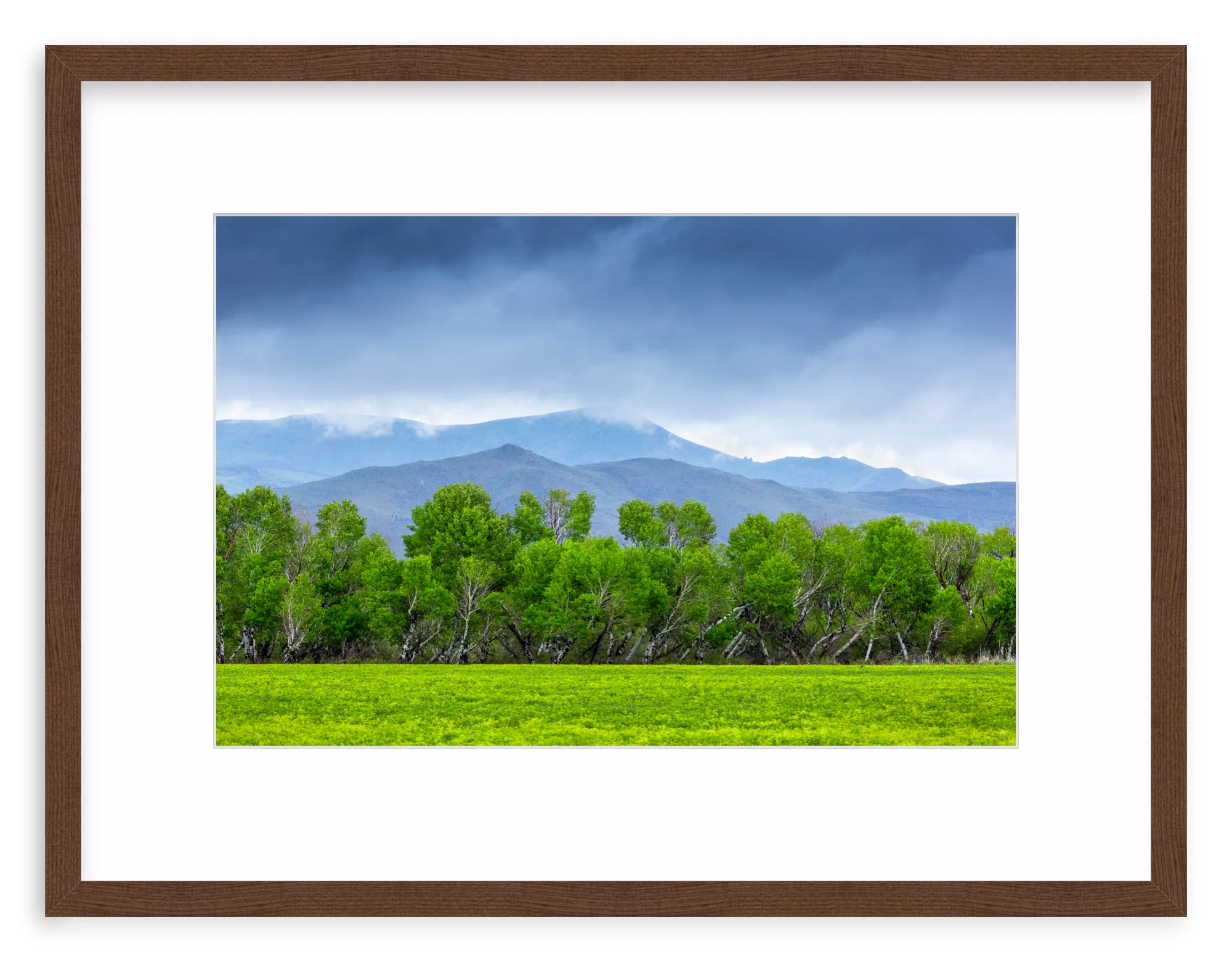 Spring At Silver Creek - Image 4