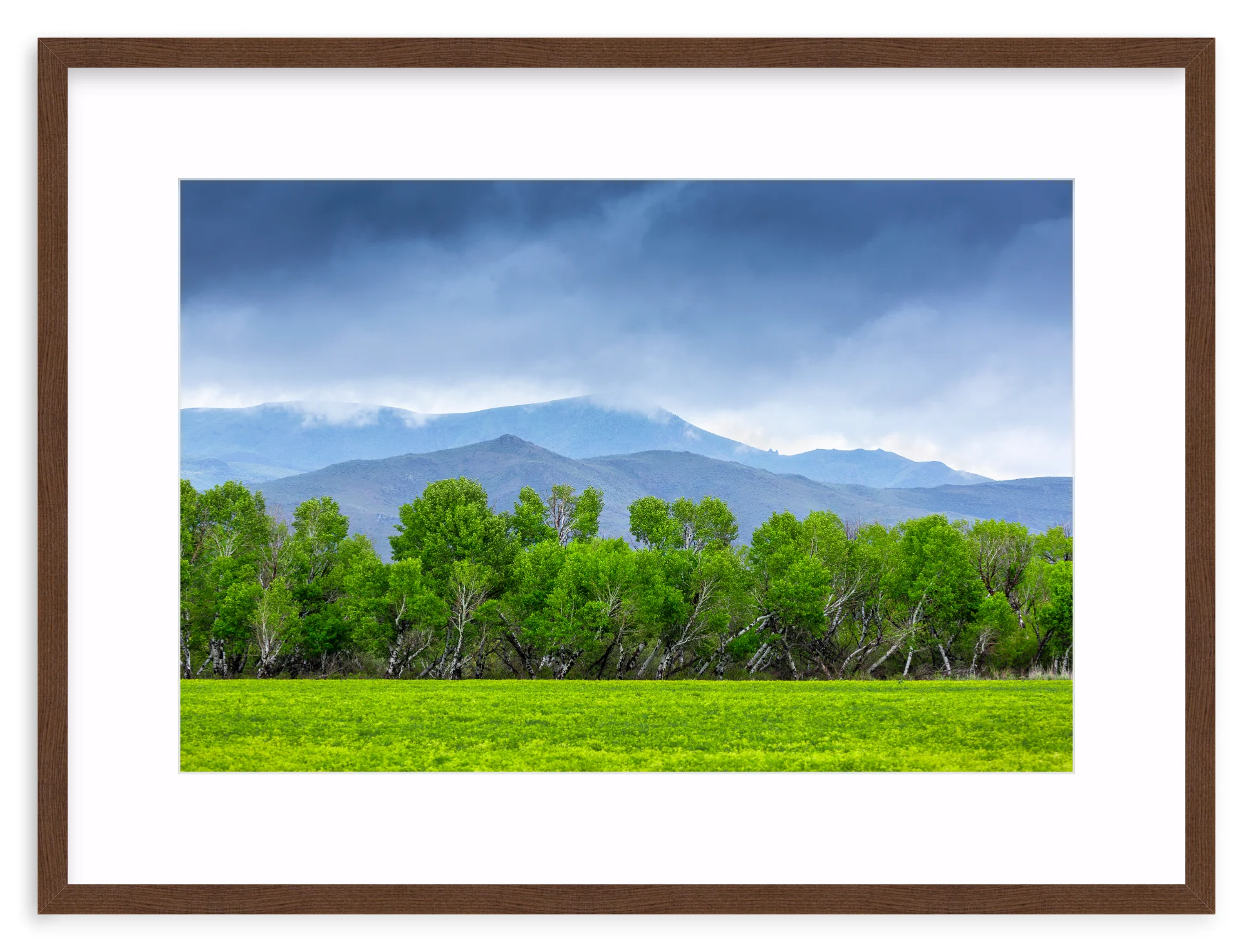 Spring At Silver Creek - Image 5