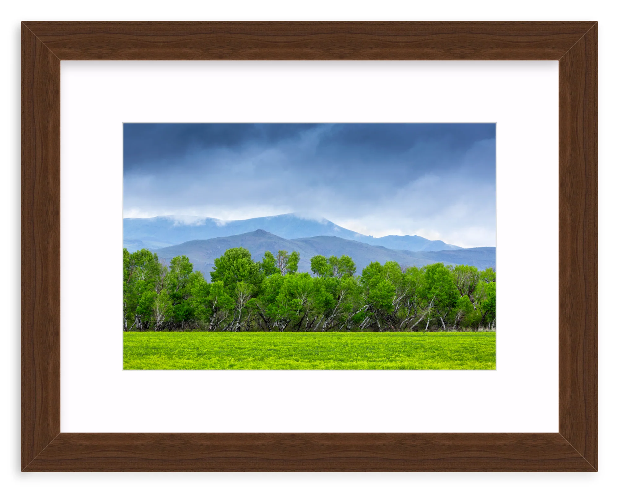 Spring At Silver Creek - Image 7