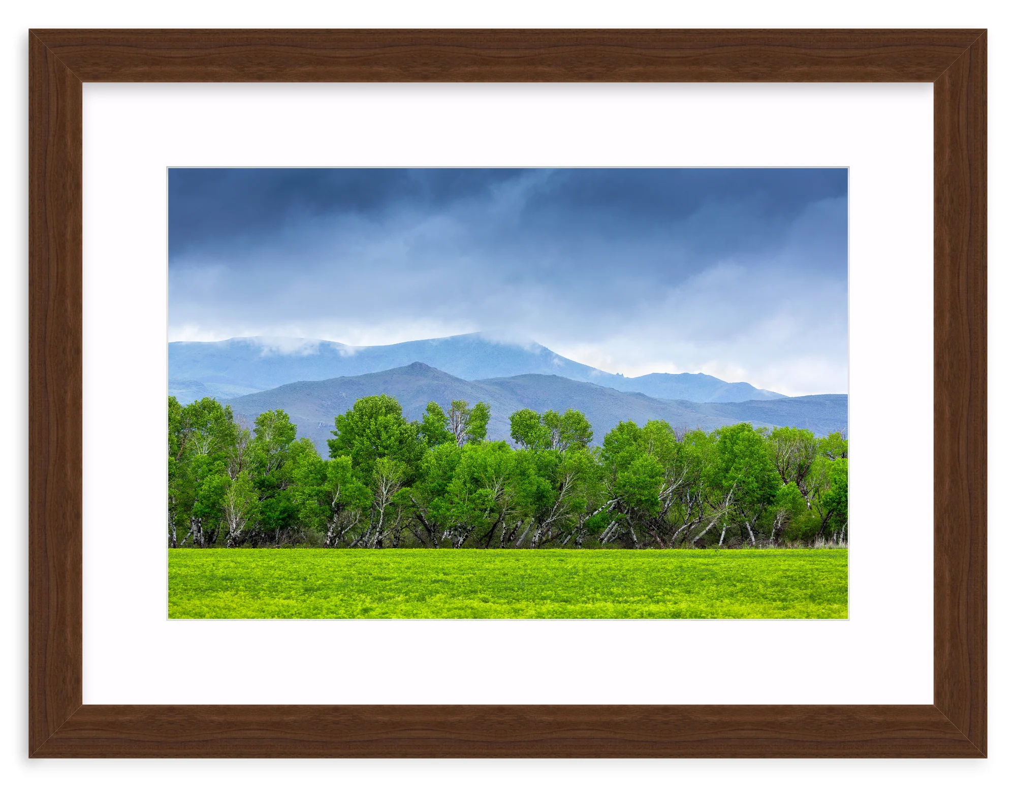 Spring At Silver Creek - Image 8