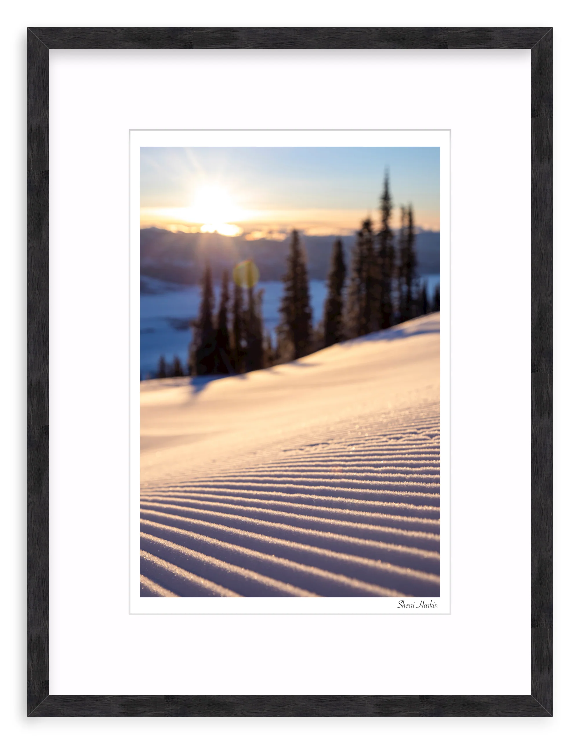 Sunrise Groomer - Image 10
