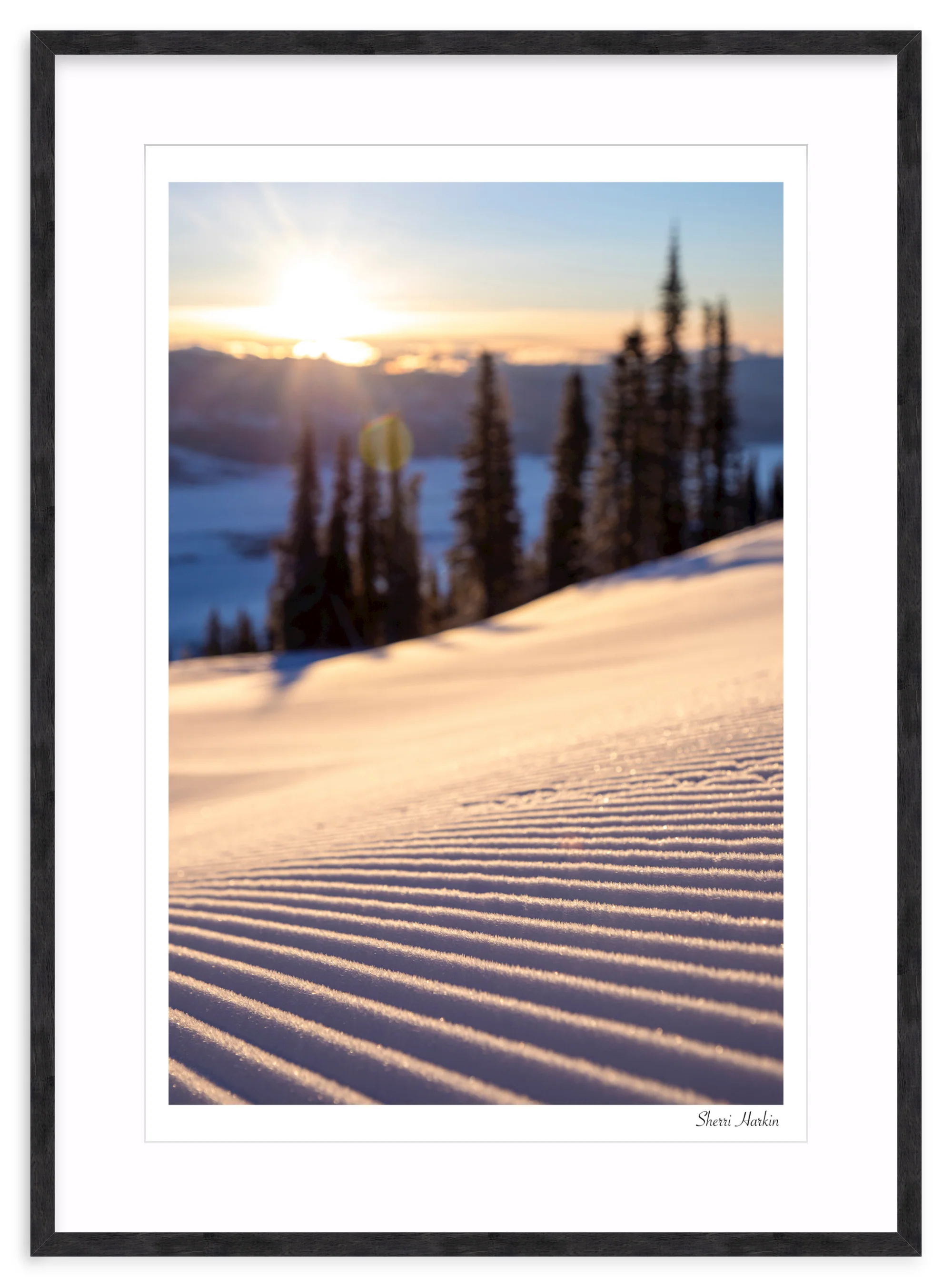 Sunrise Groomer - Image 12
