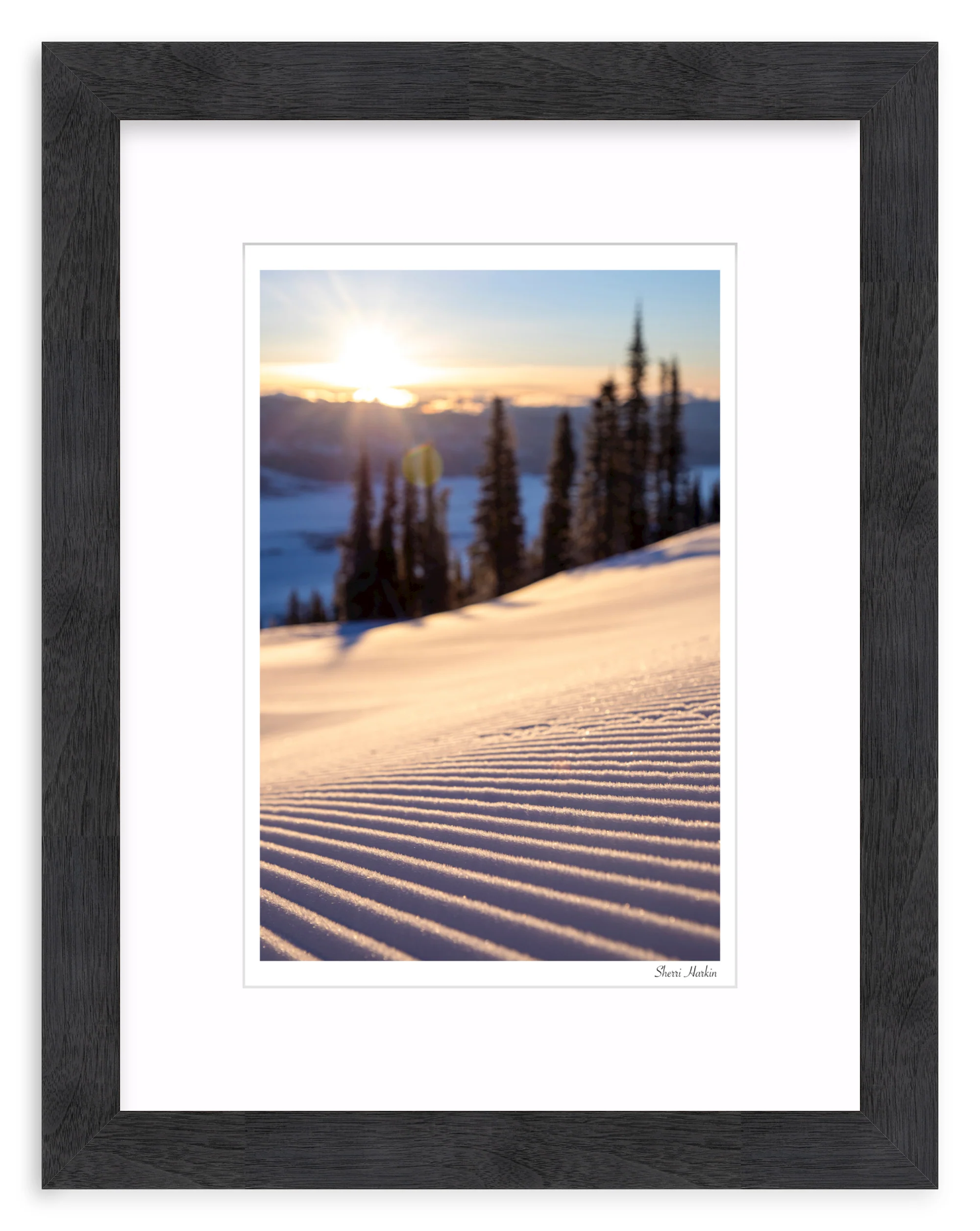 Sunrise Groomer - Image 13