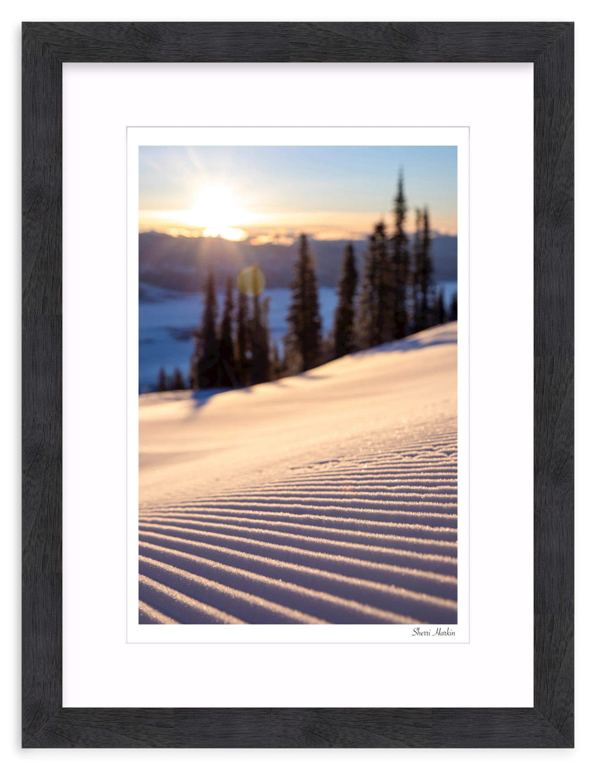 Sunrise Groomer - Image 14