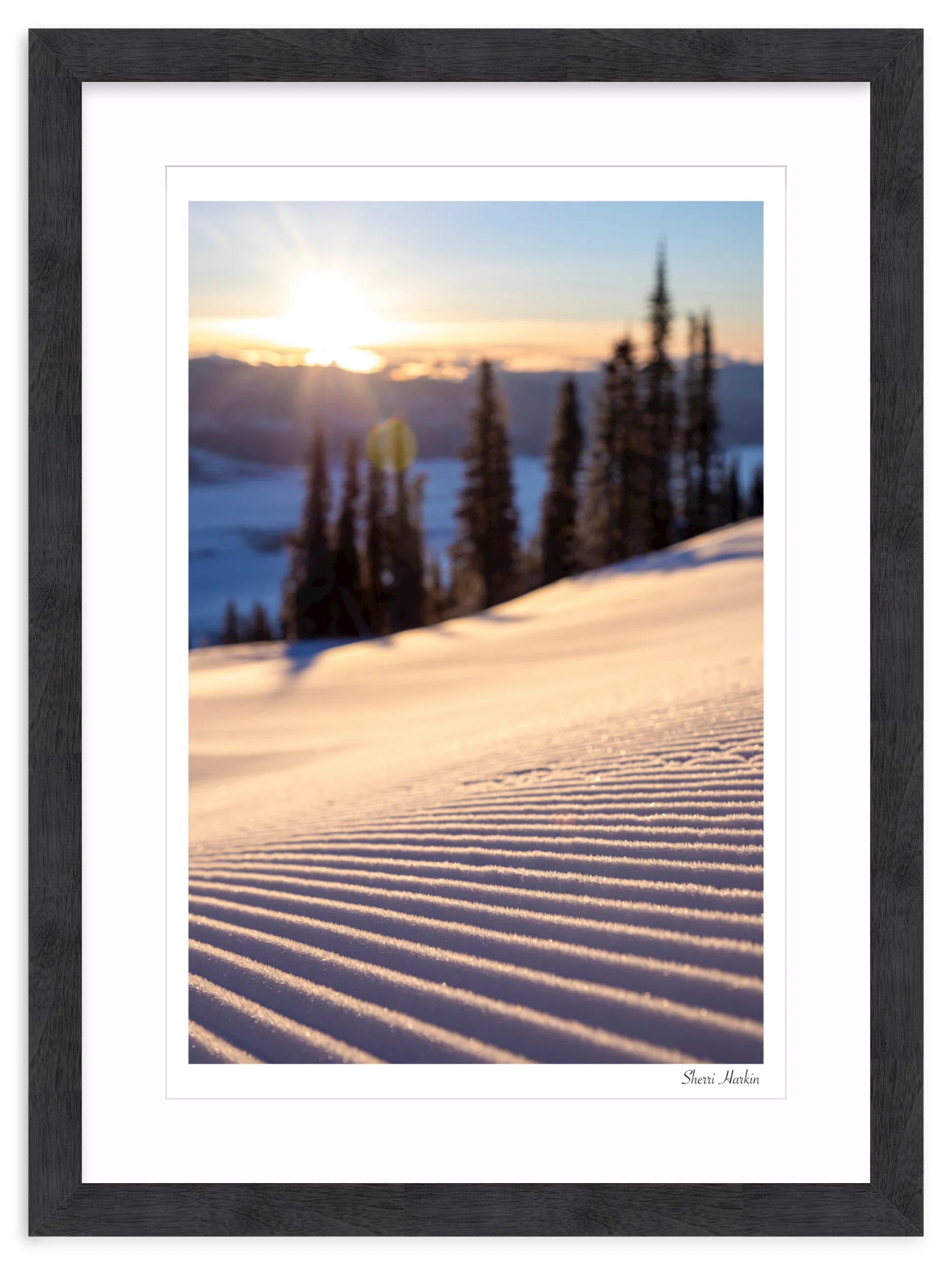 Sunrise Groomer - Image 15