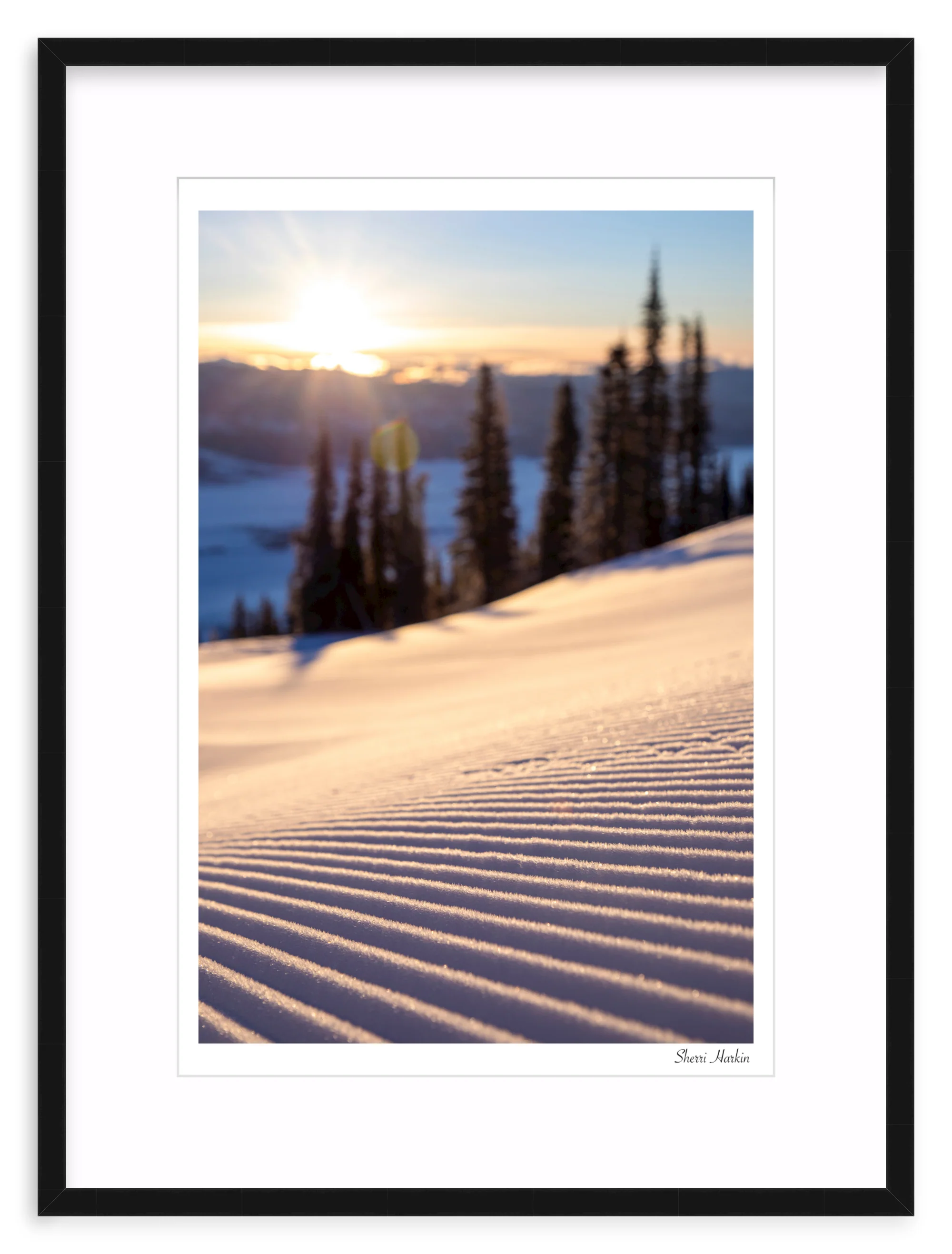 Sunrise Groomer - Image 2