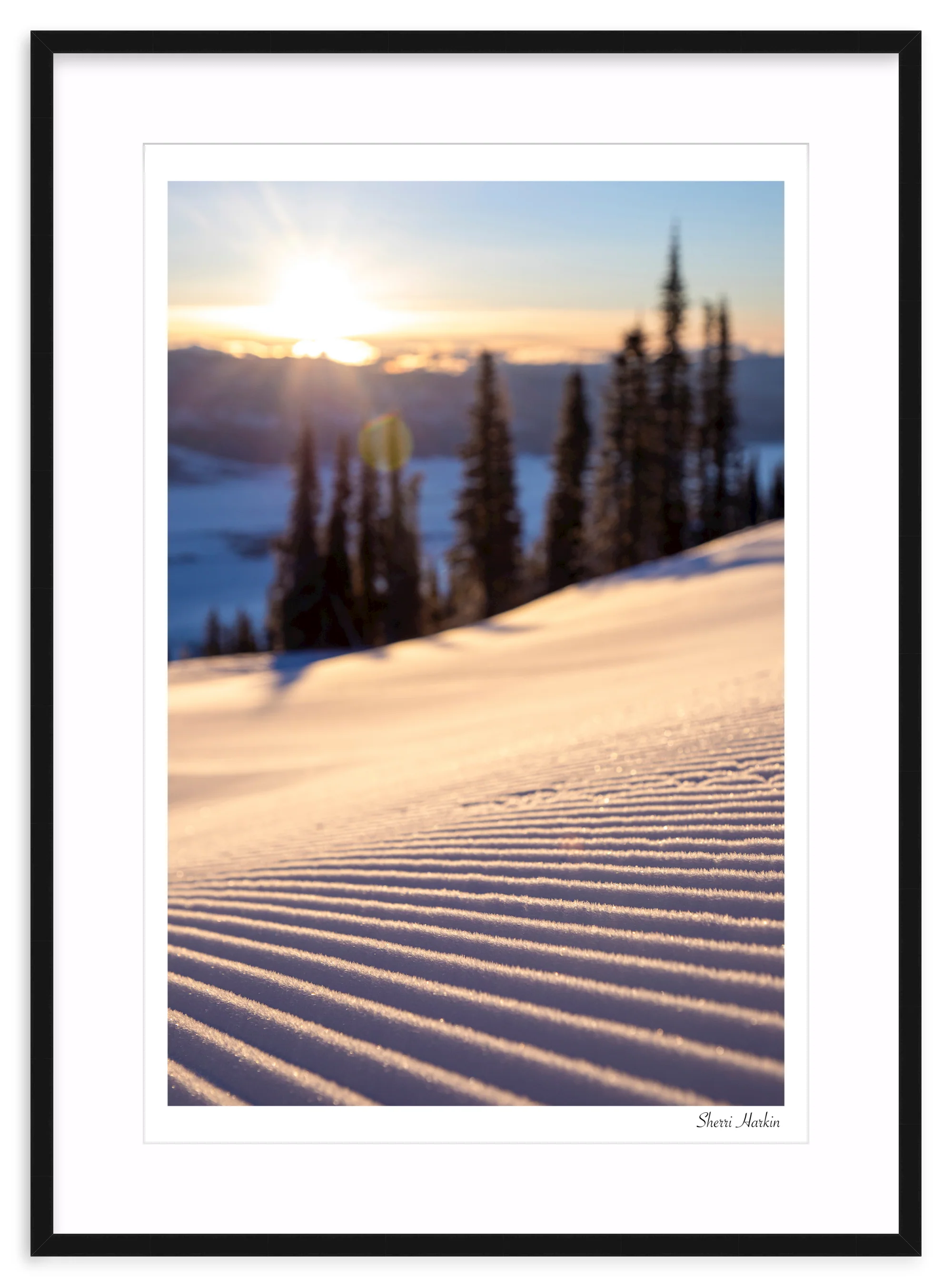Sunrise Groomer - Image 3