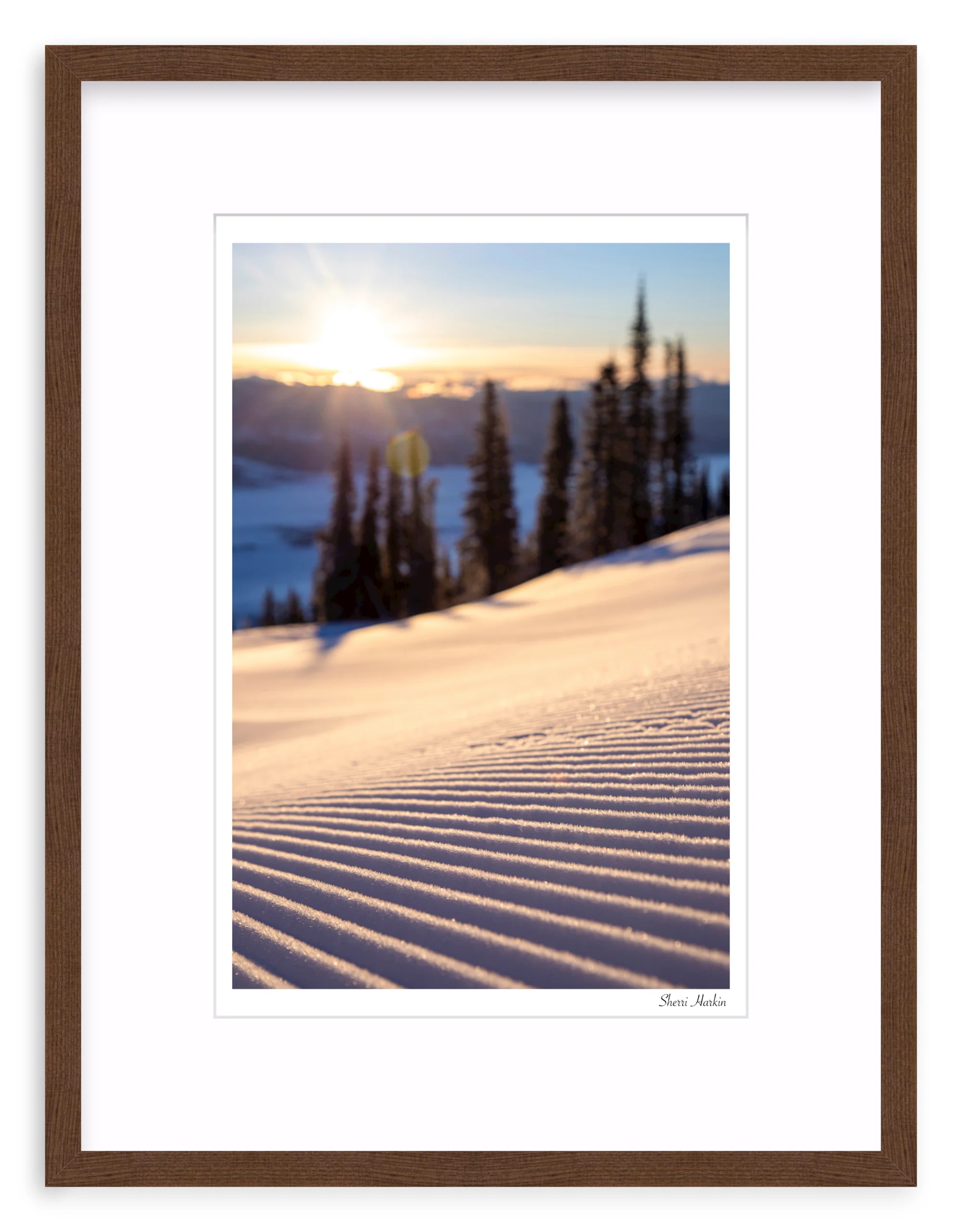 Sunrise Groomer - Image 4