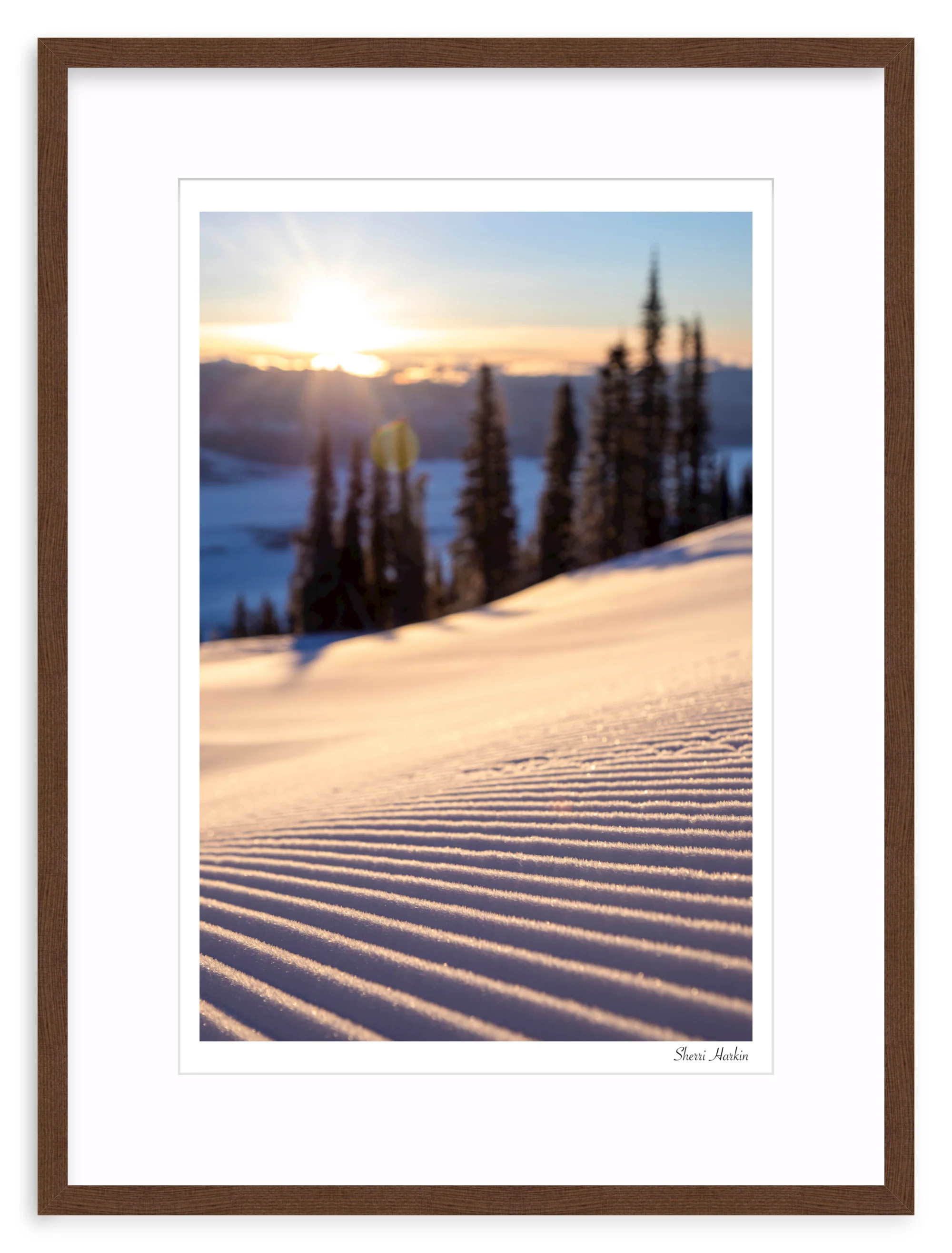 Sunrise Groomer - Image 5