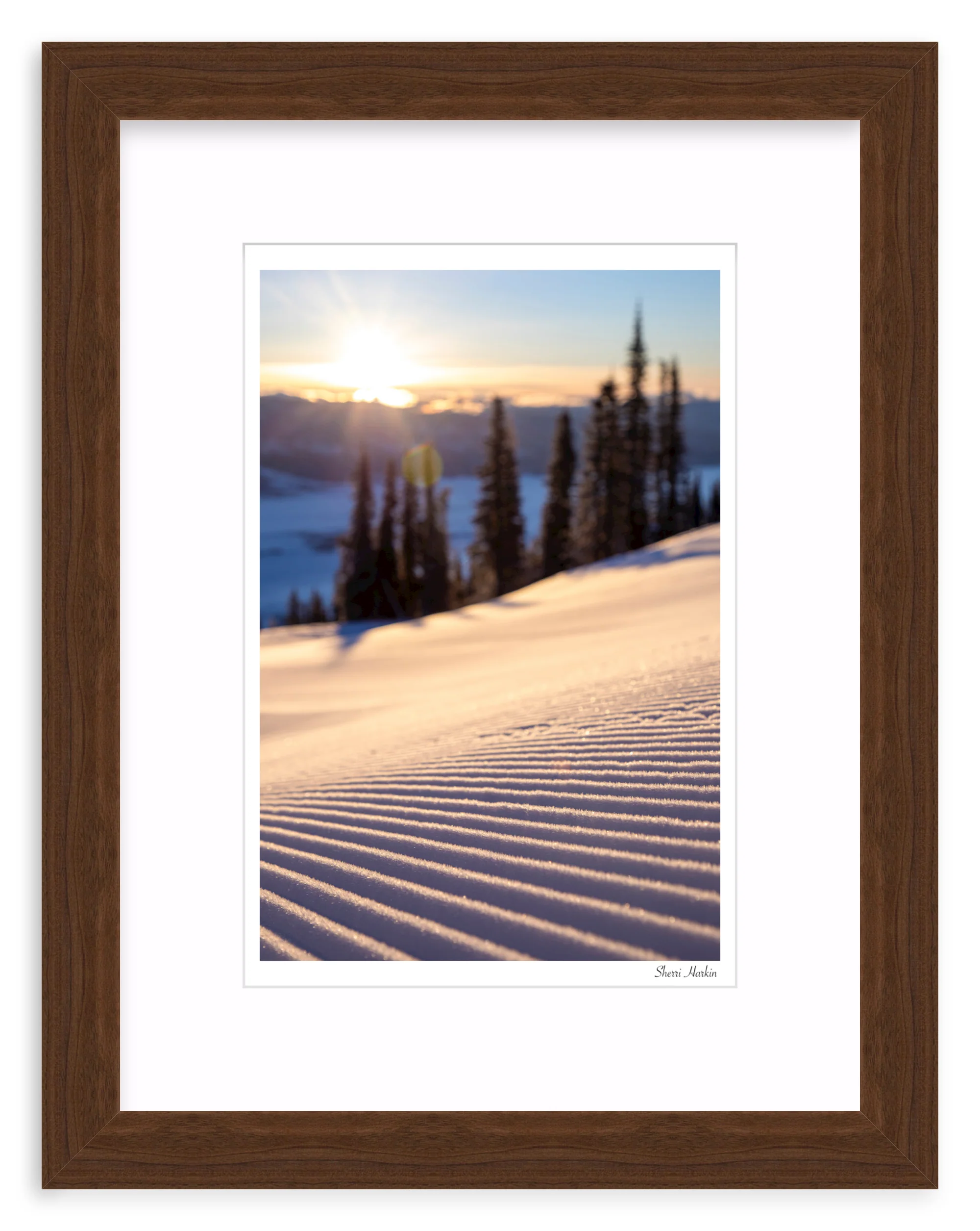 Sunrise Groomer - Image 7