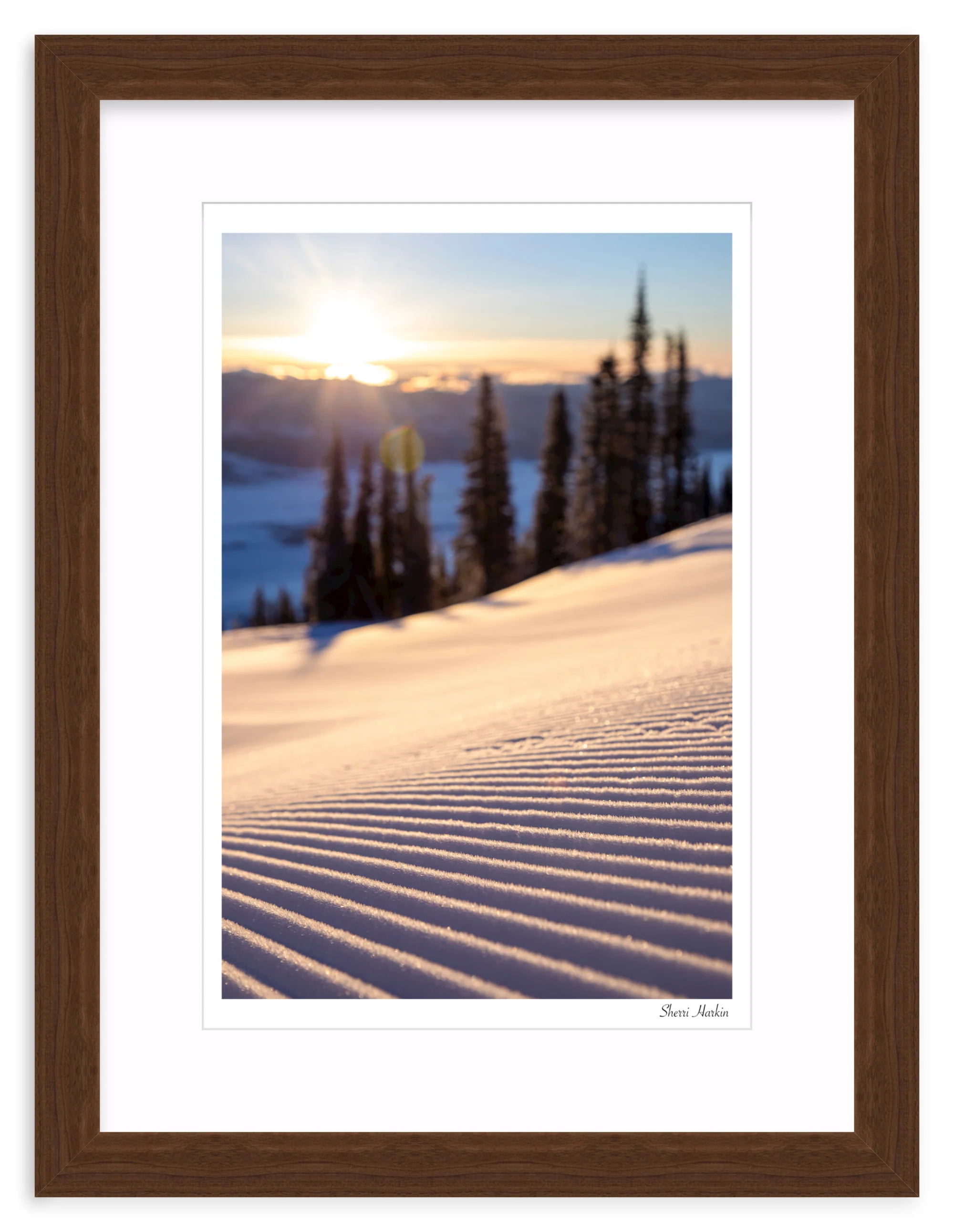 Sunrise Groomer - Image 8