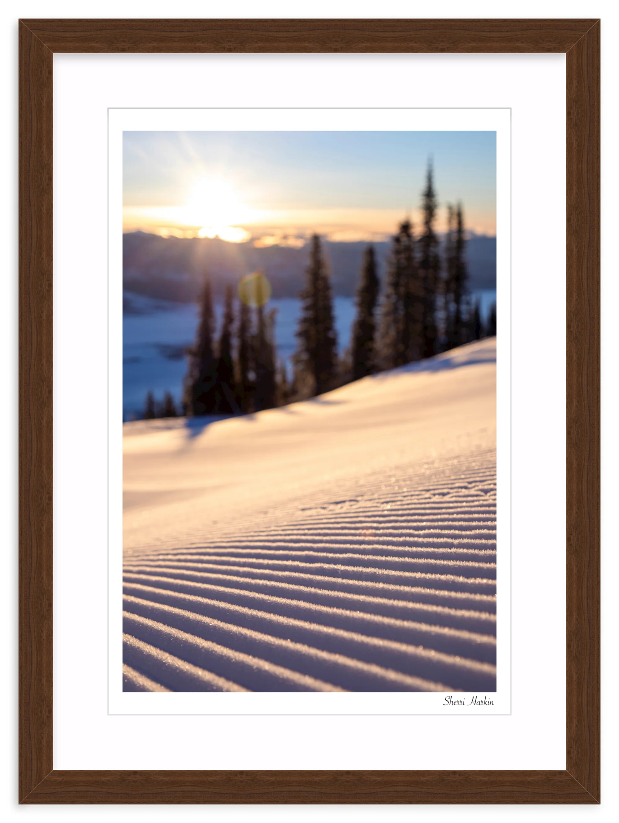 Sunrise Groomer - Image 9