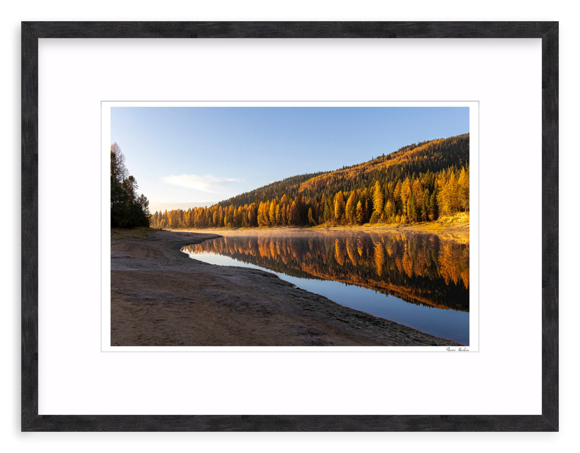 Tamarack Grove Reflection - Image 10