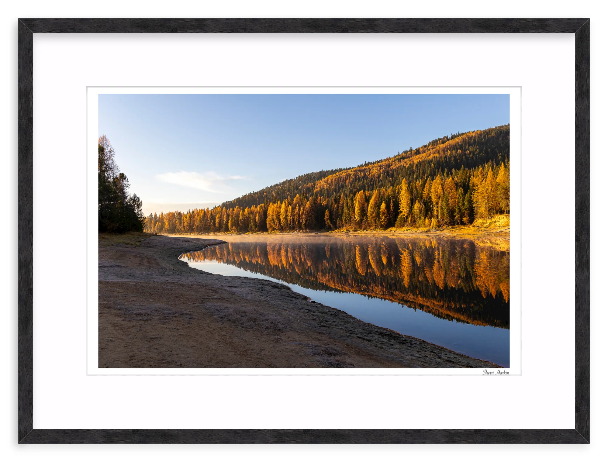 Tamarack Grove Reflection - Image 11