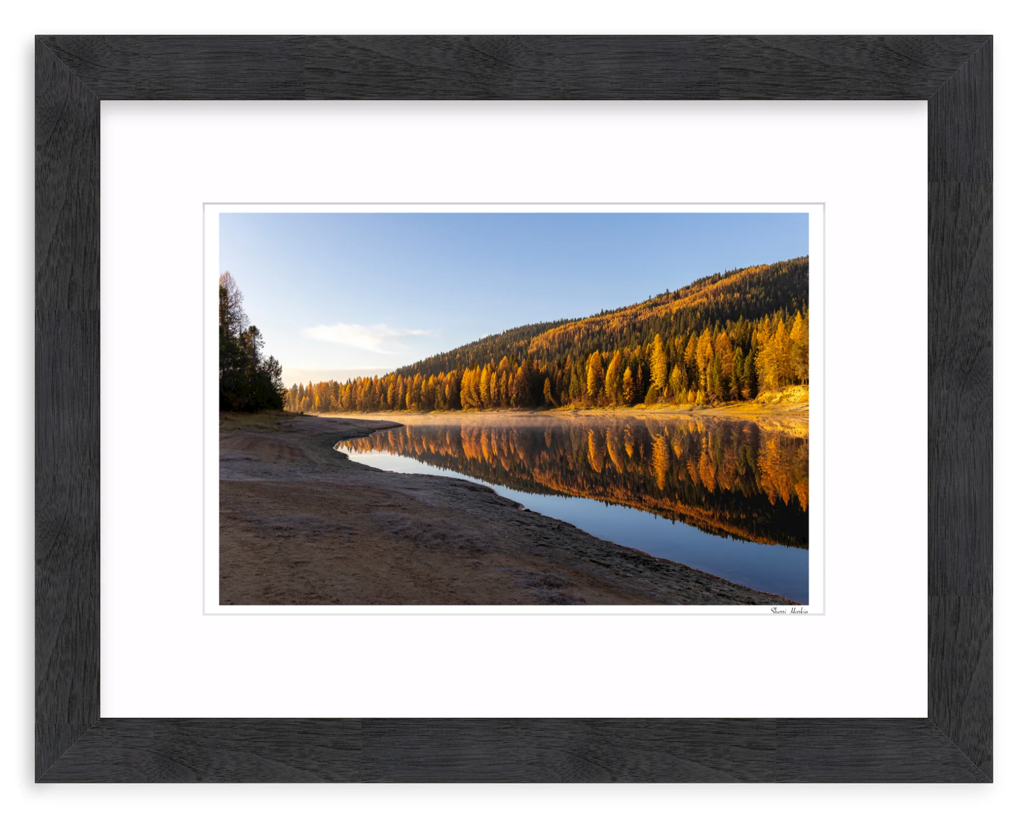 Tamarack Grove Reflection - Image 13