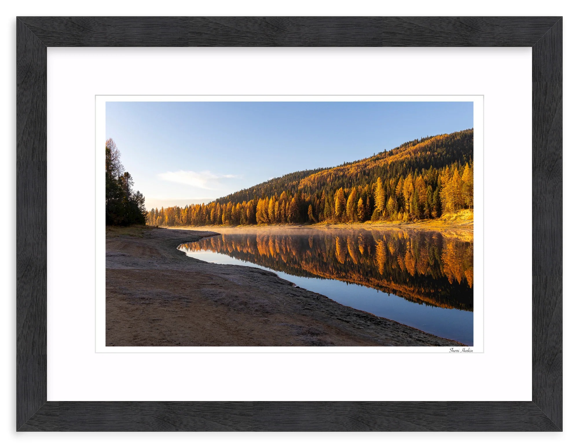 Tamarack Grove Reflection - Image 14