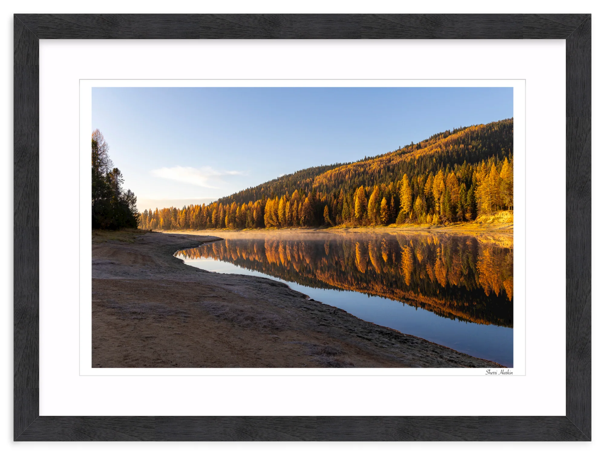 Tamarack Grove Reflection - Image 15