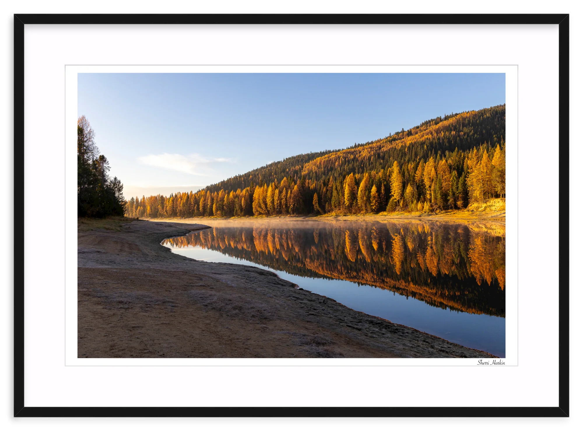 Tamarack Grove Reflection - Image 3