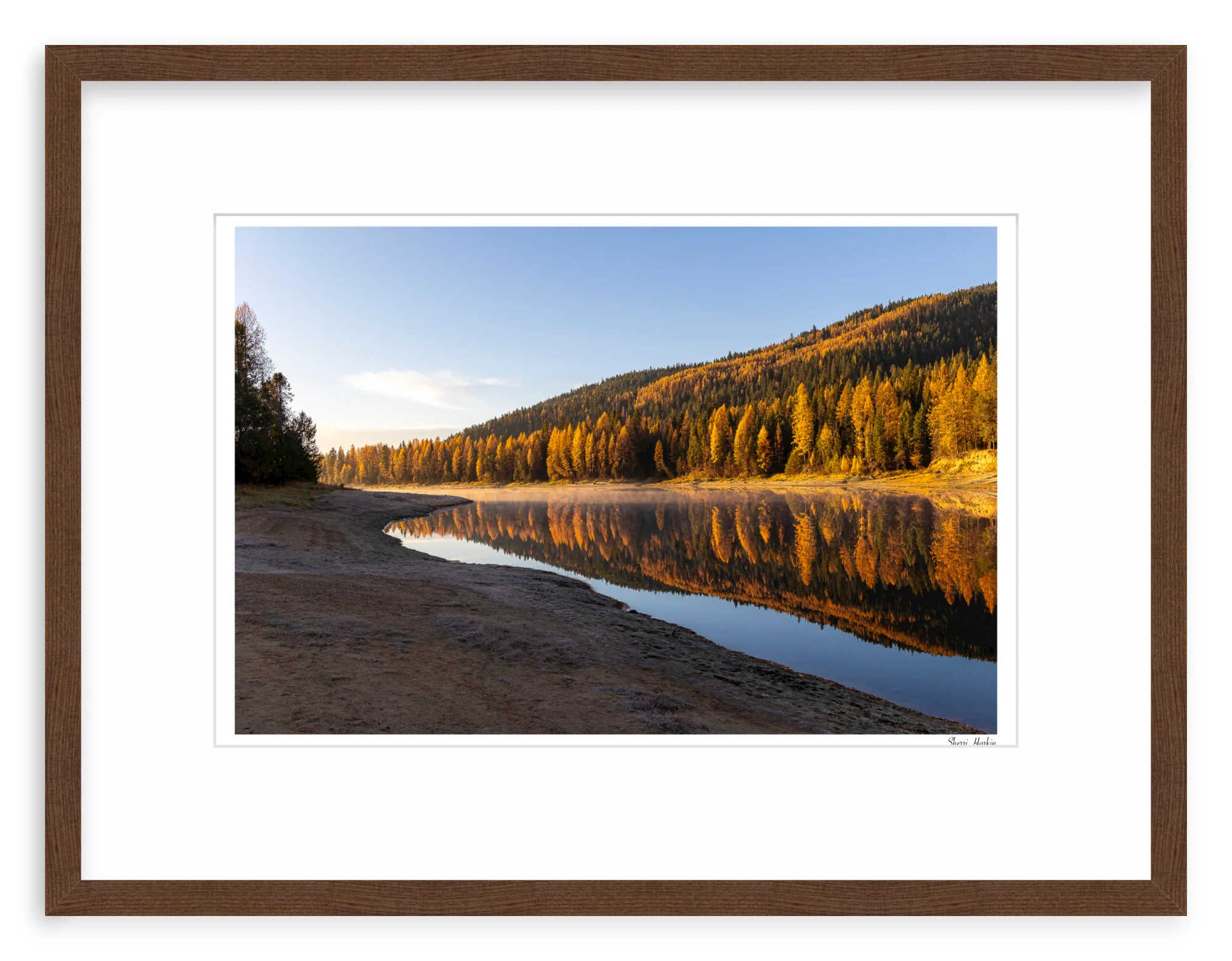 Tamarack Grove Reflection - Image 4