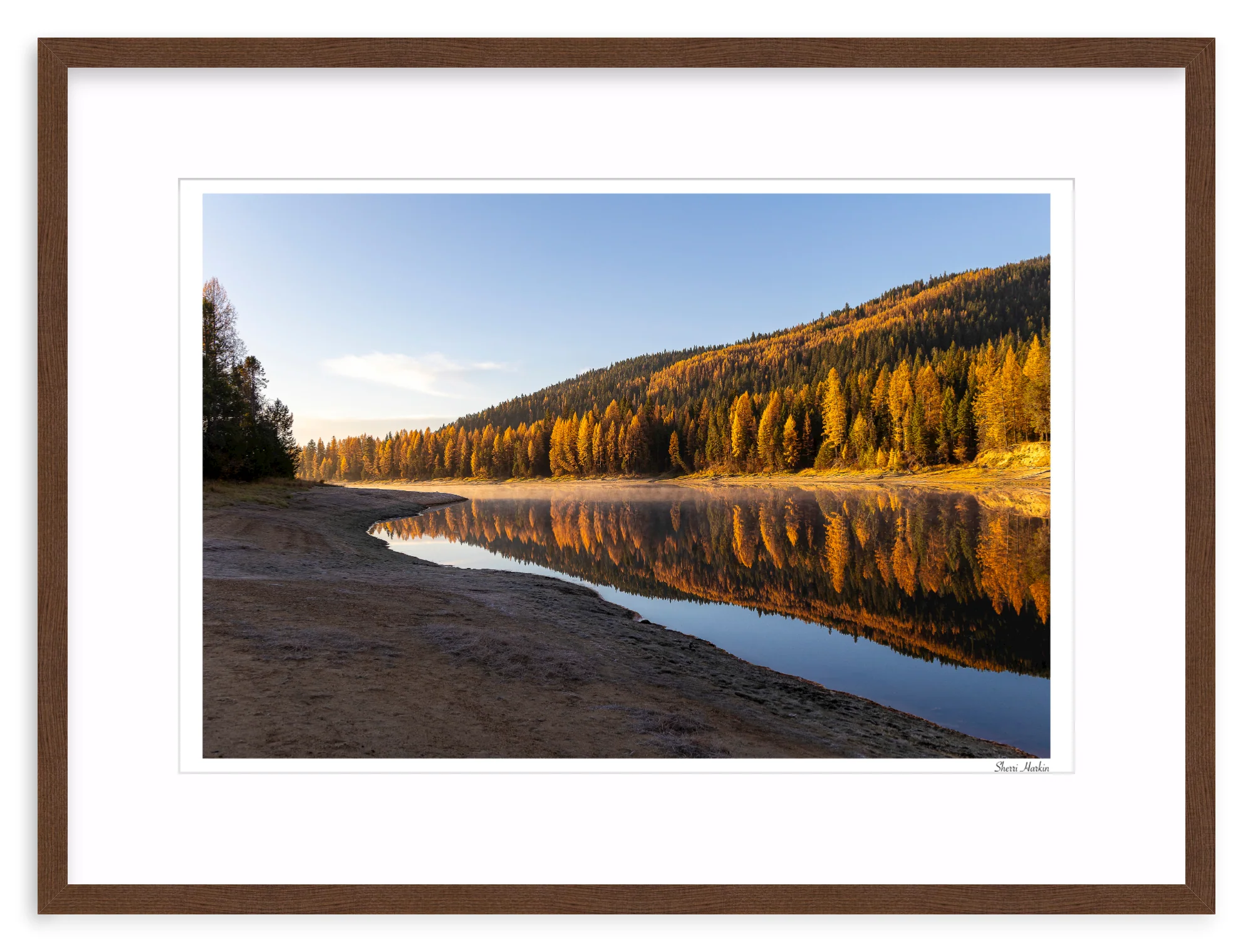 Tamarack Grove Reflection - Image 5