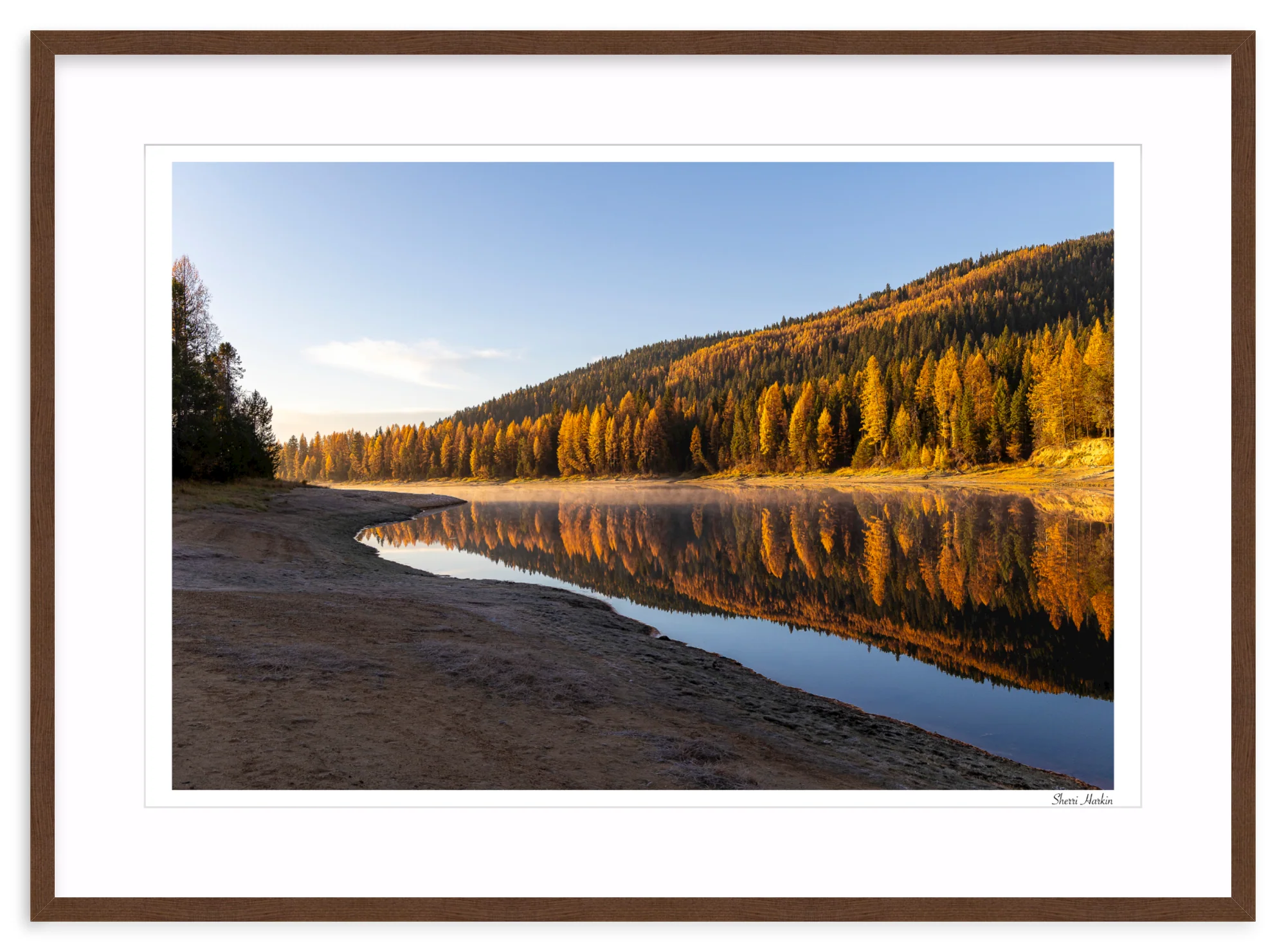 Tamarack Grove Reflection - Image 6